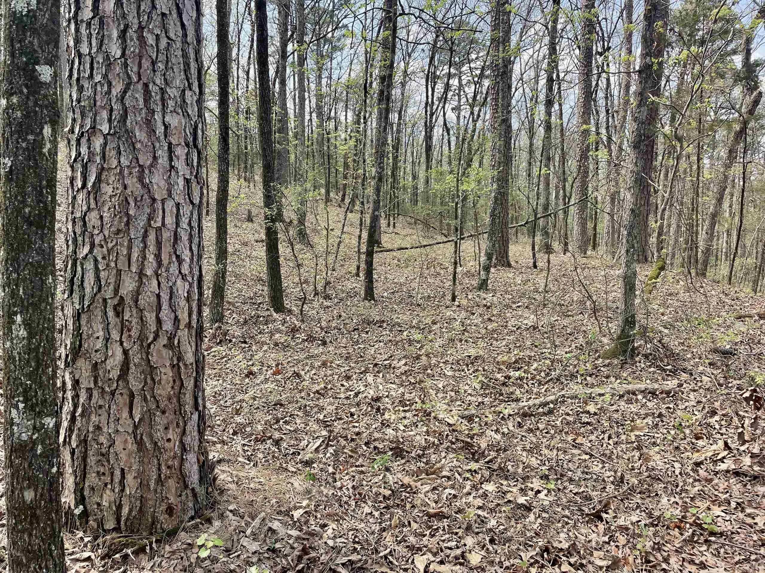 Property at 000  Pea ridge - Image 41