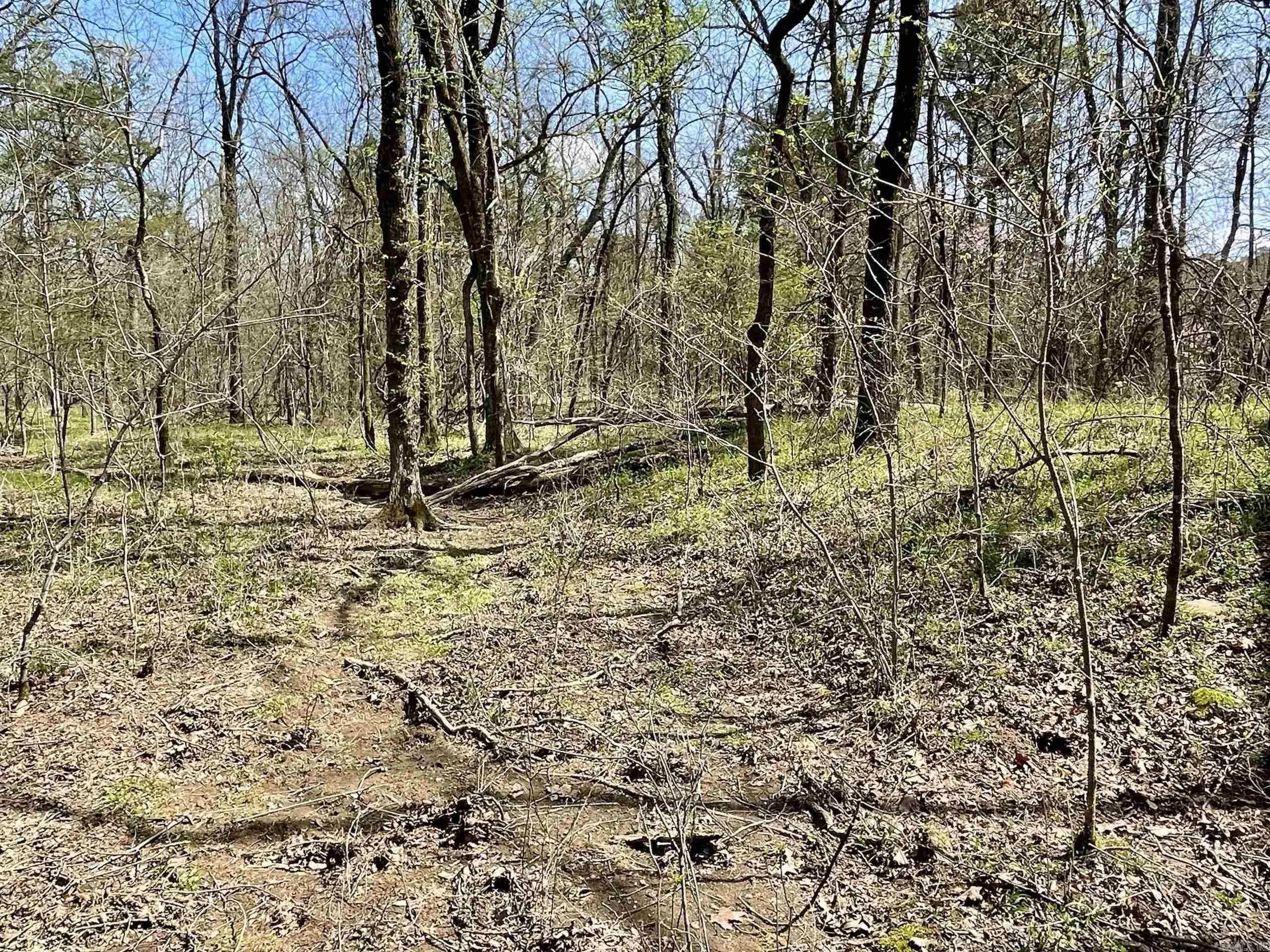 Property at 000  Pea ridge - Image 20