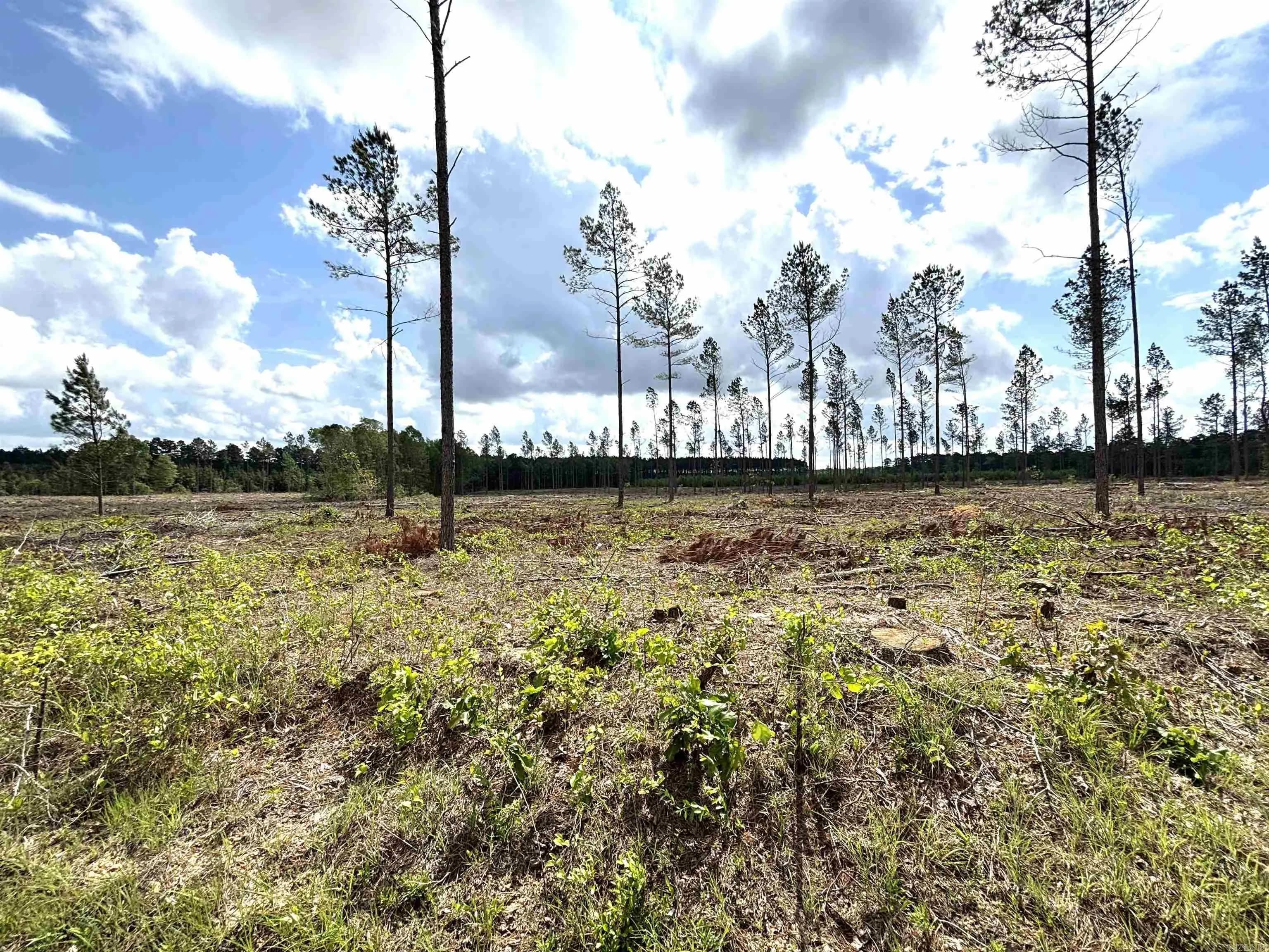Property at 0  Grant county road 9 (c) - Image 2