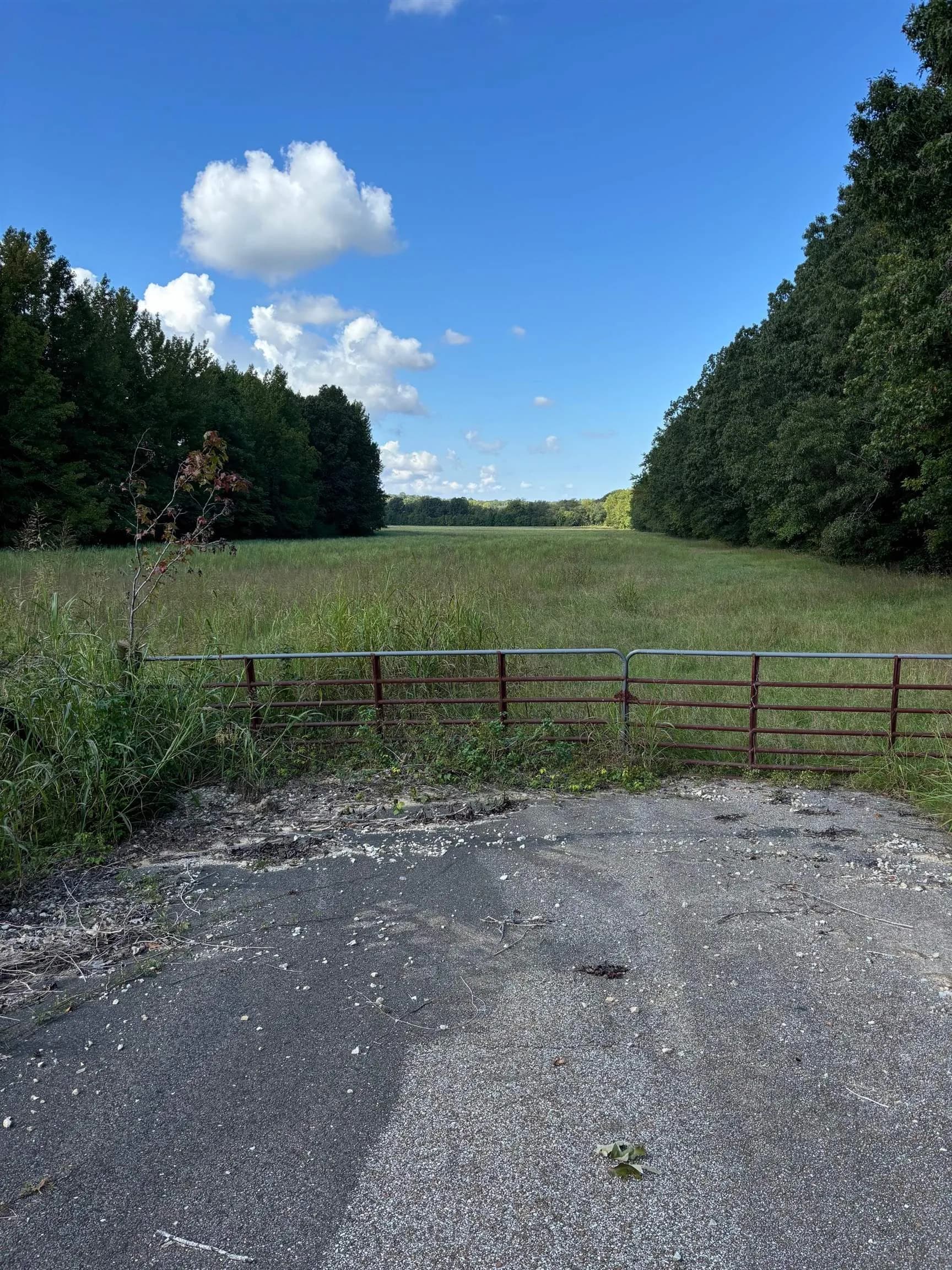 Property at 45.85  Acres hwy 141 - Image 2