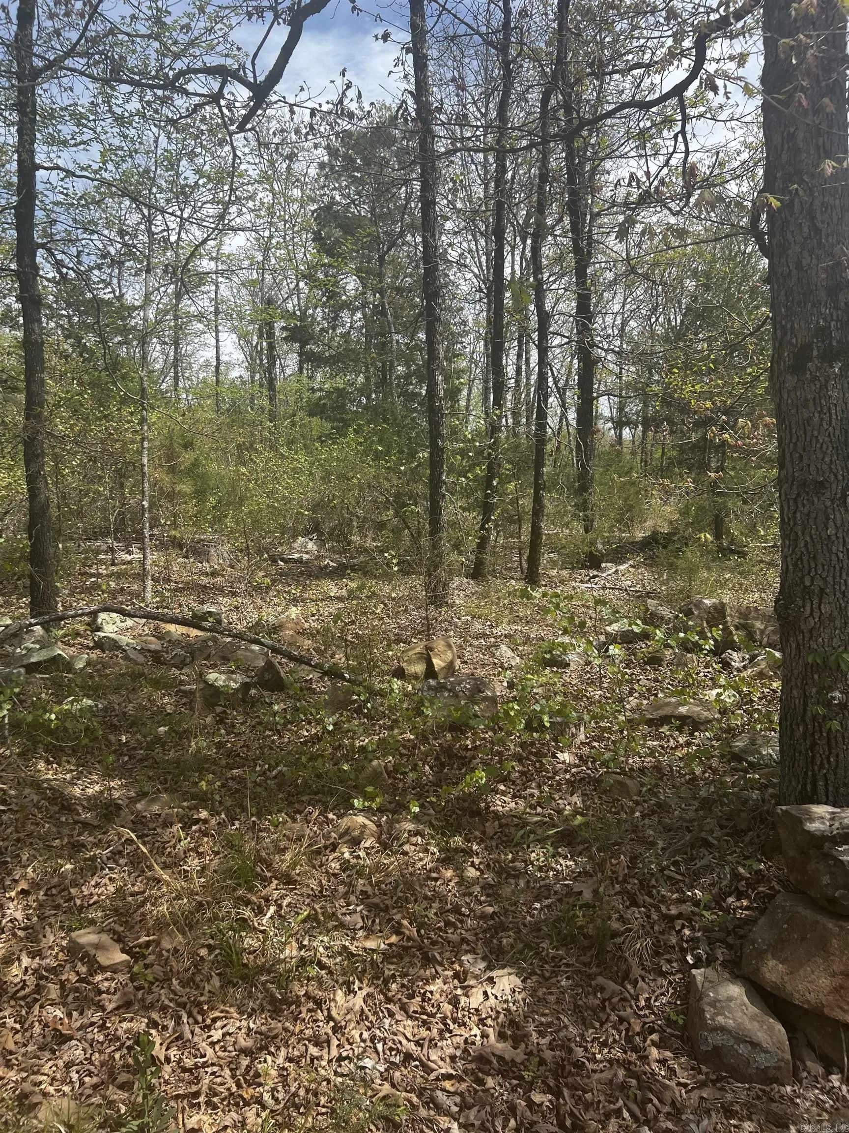 Property at 3681  County - Image 3