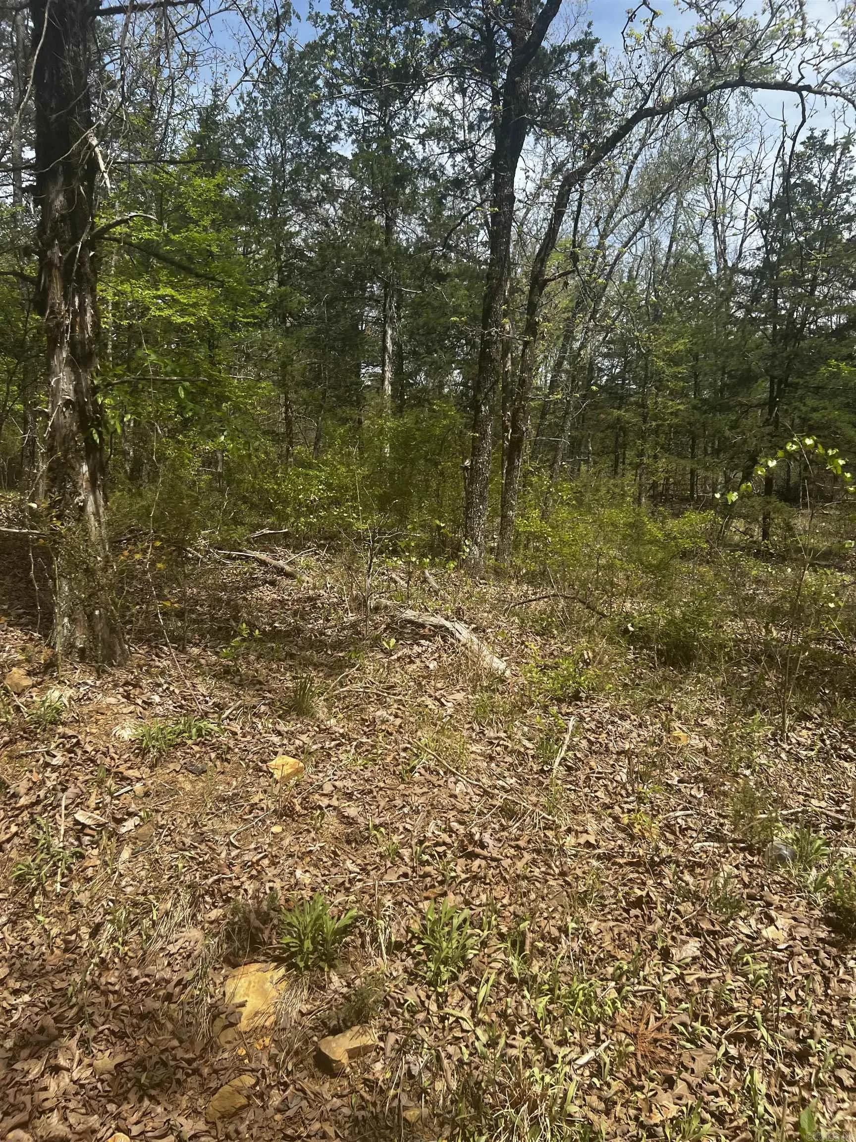 Property at 3681  County - Image 4
