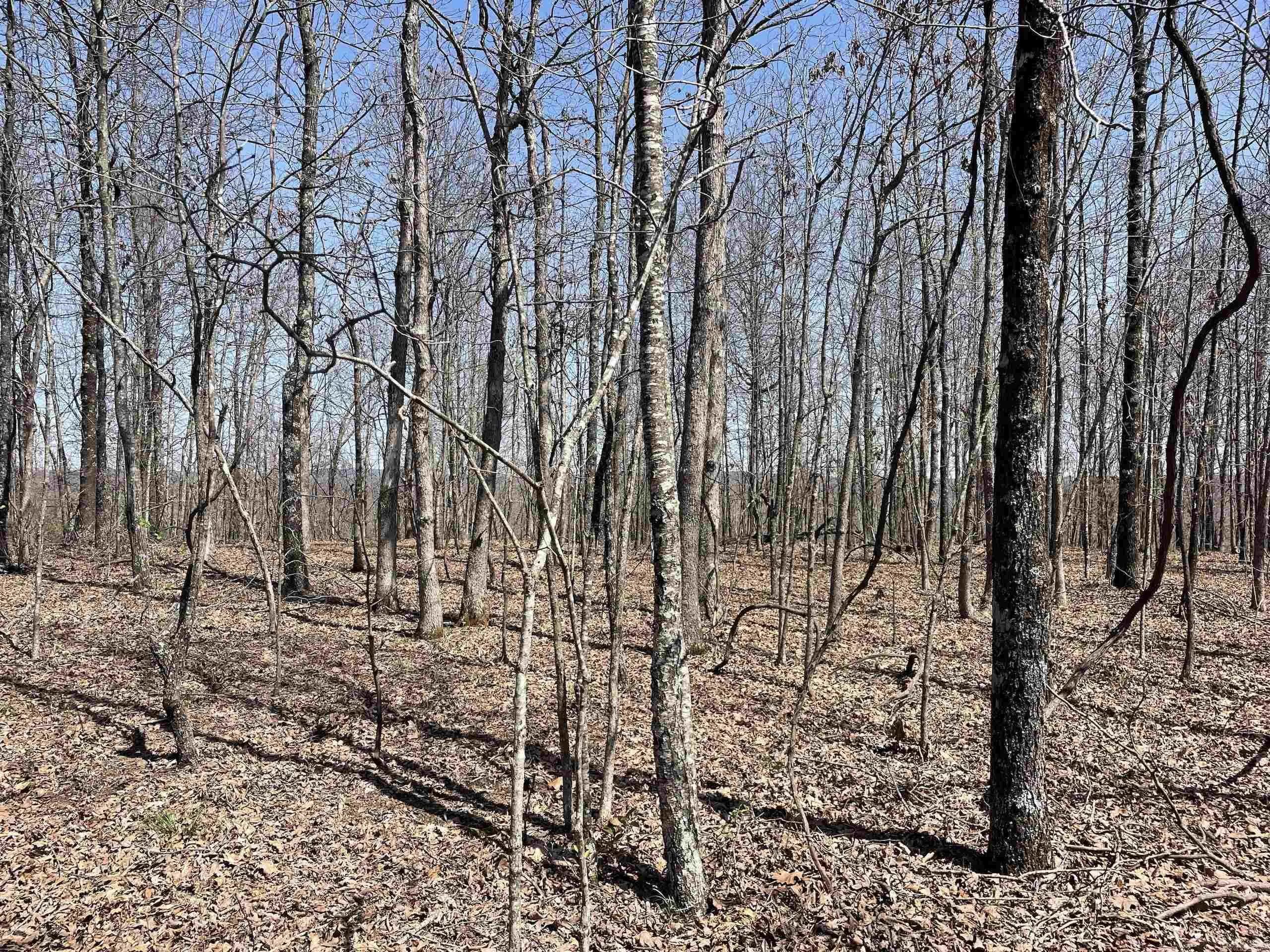 Property at 001  Dabney - Image 4