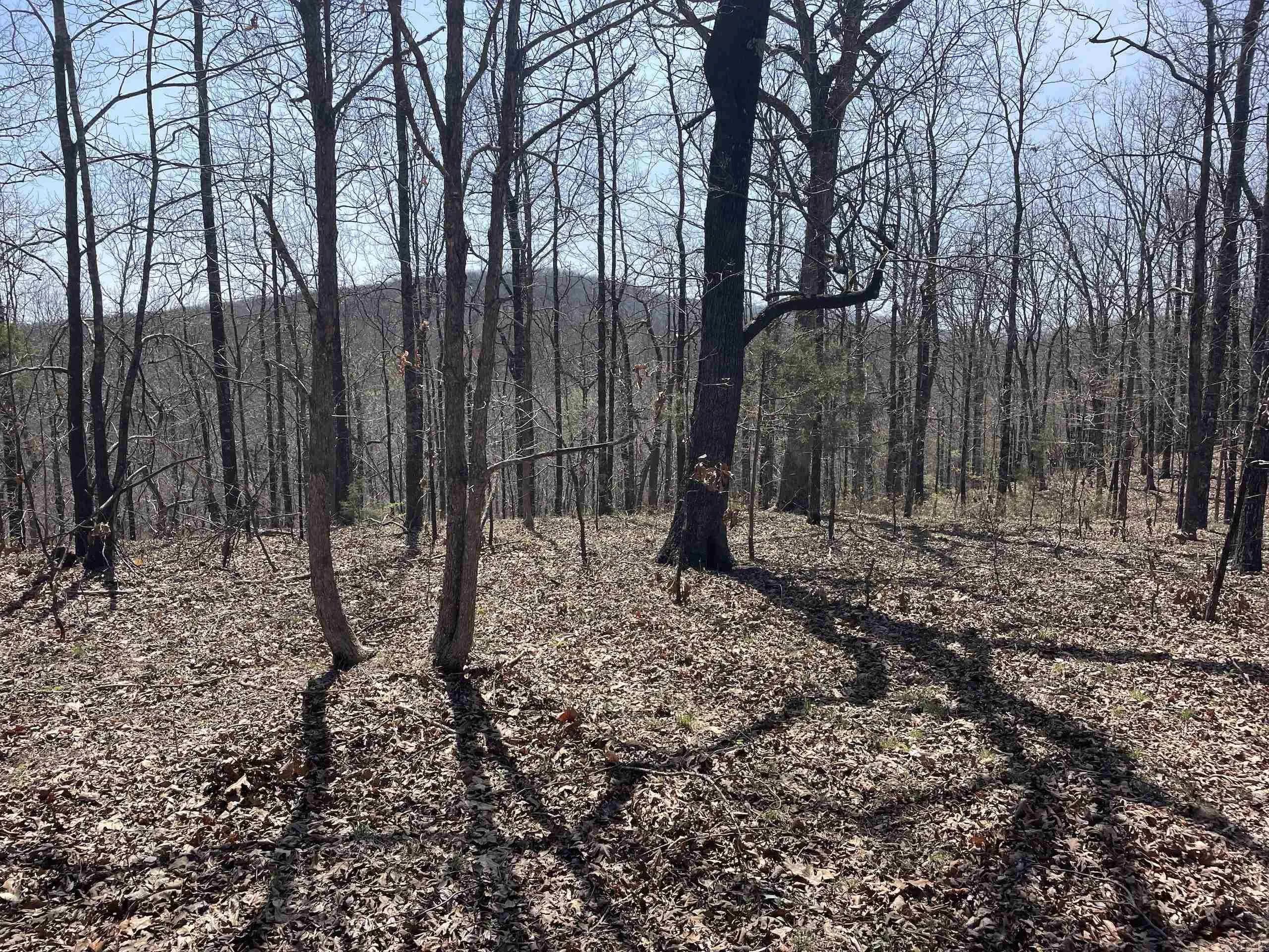 Property at 001  Dabney - Image 6