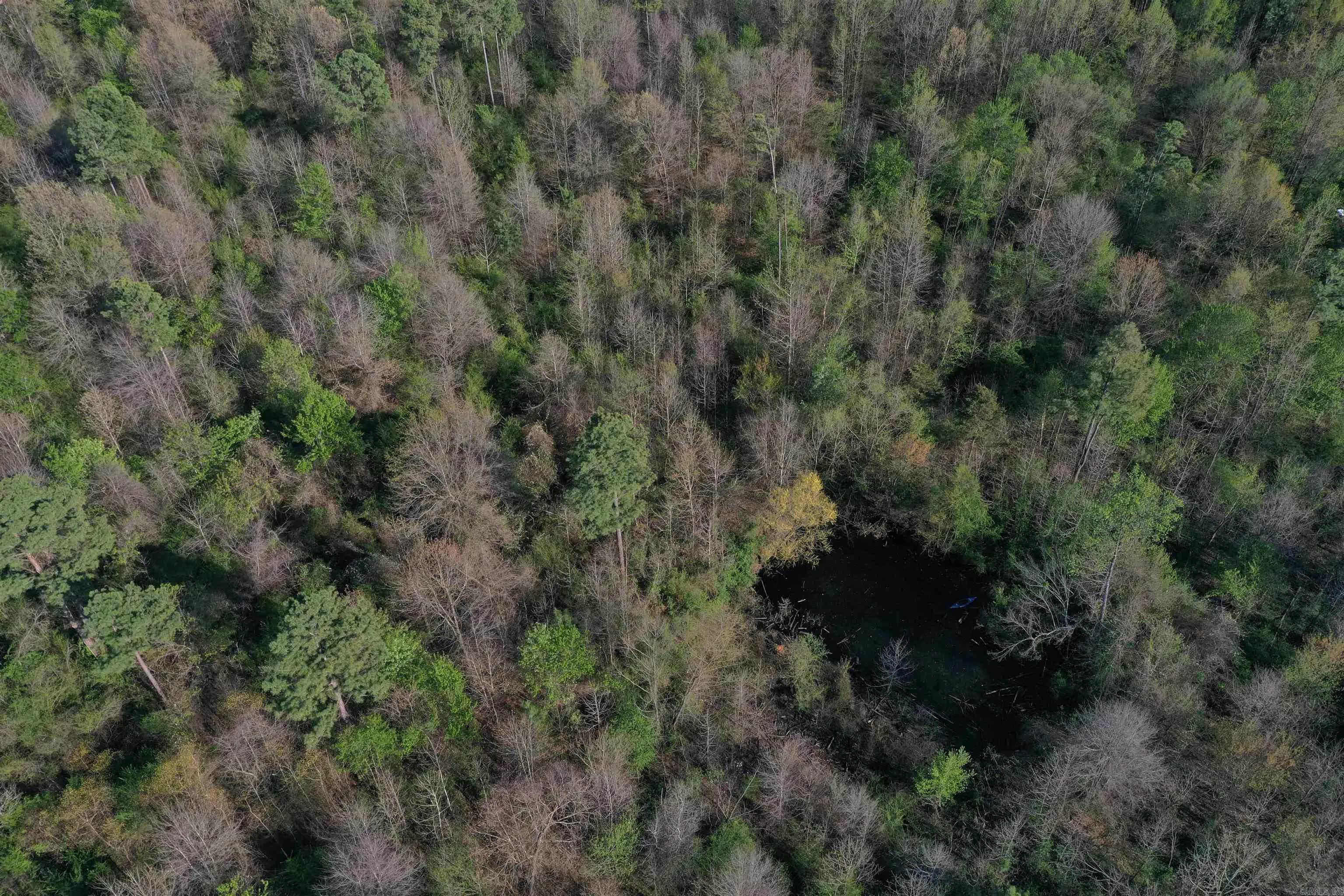 Property at 0000  Wilson road - Image 13