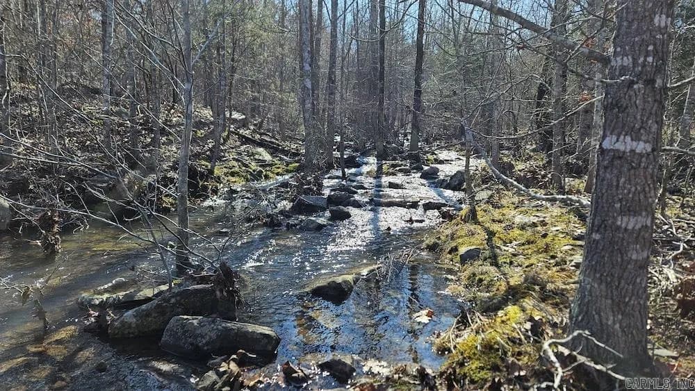 Property at Tract A  Rocky road - Image 1