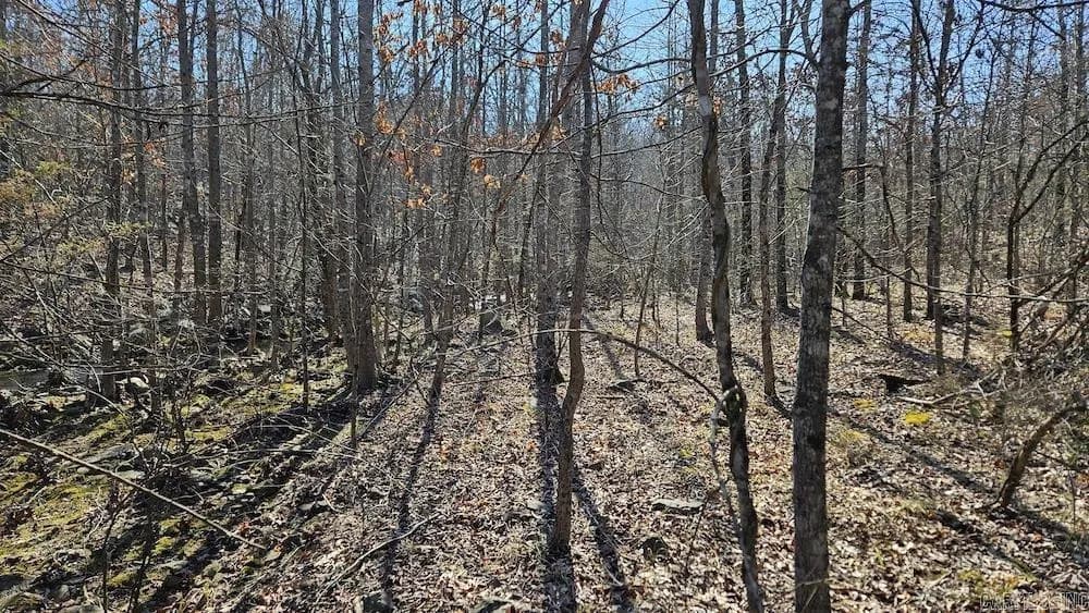 Property at Tract A  Rocky road - Image 20