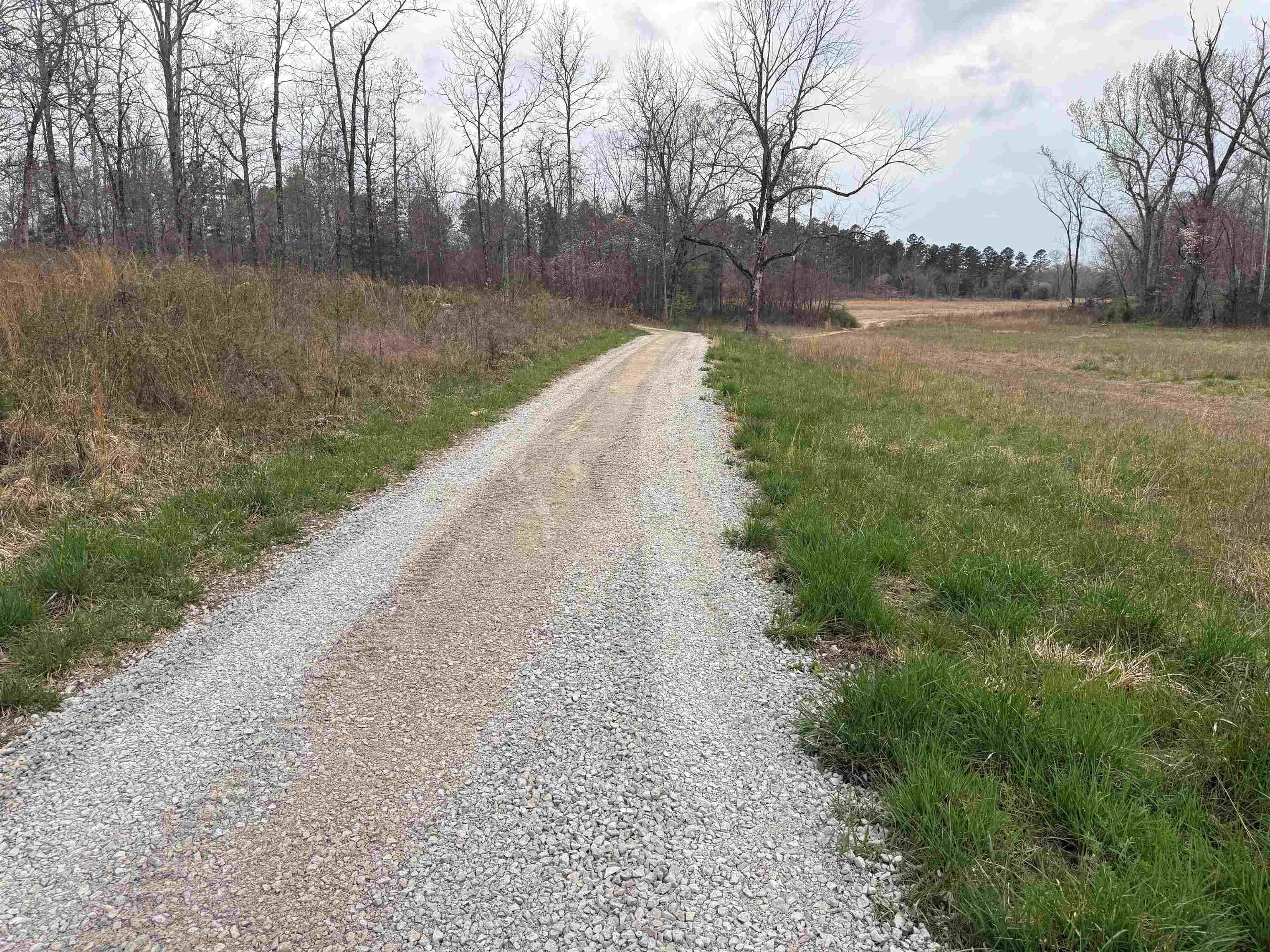 Property at 1433  Chapel hill road - Image 47