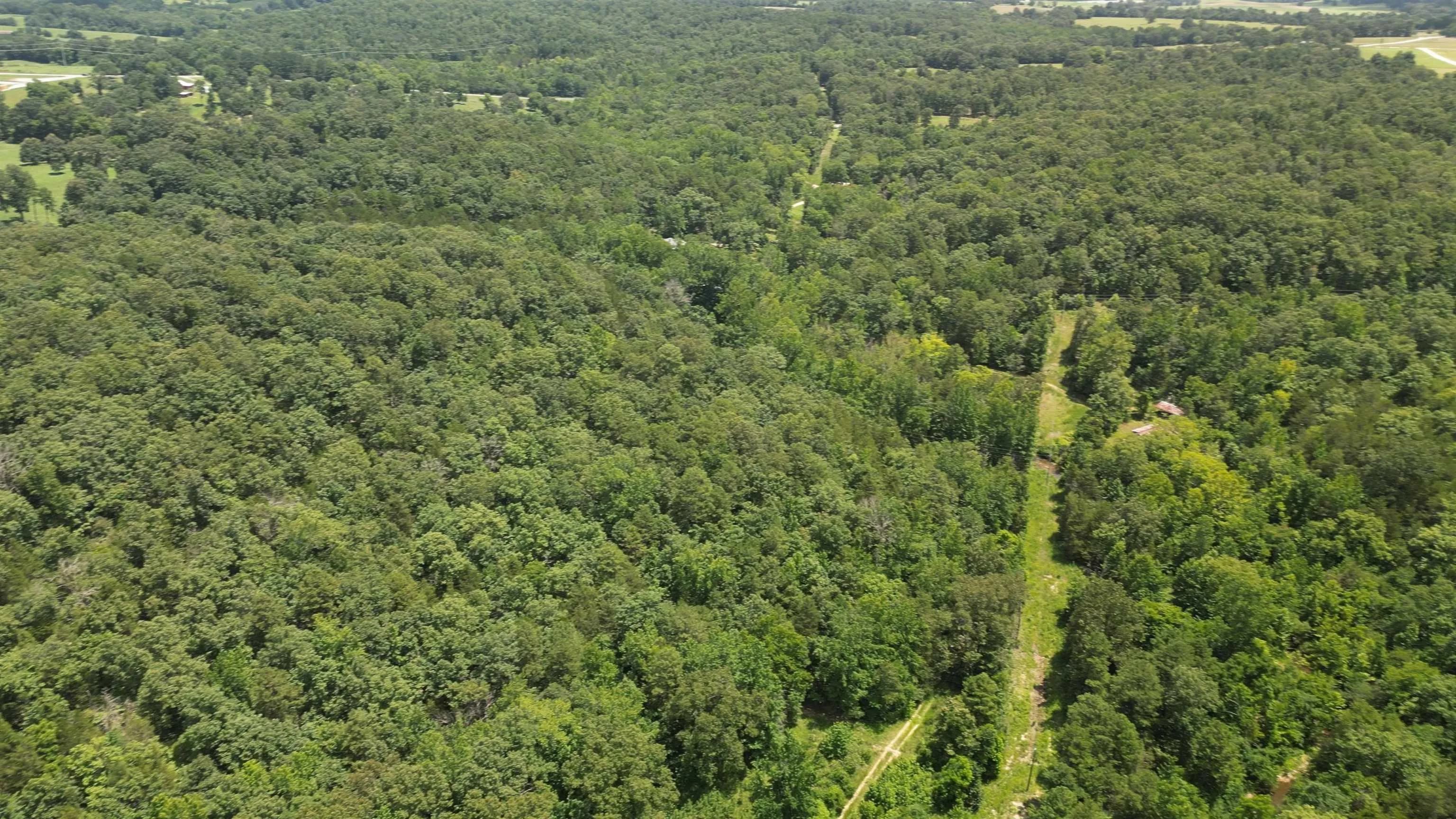 Property at 881  Driftwood drive - Image 1