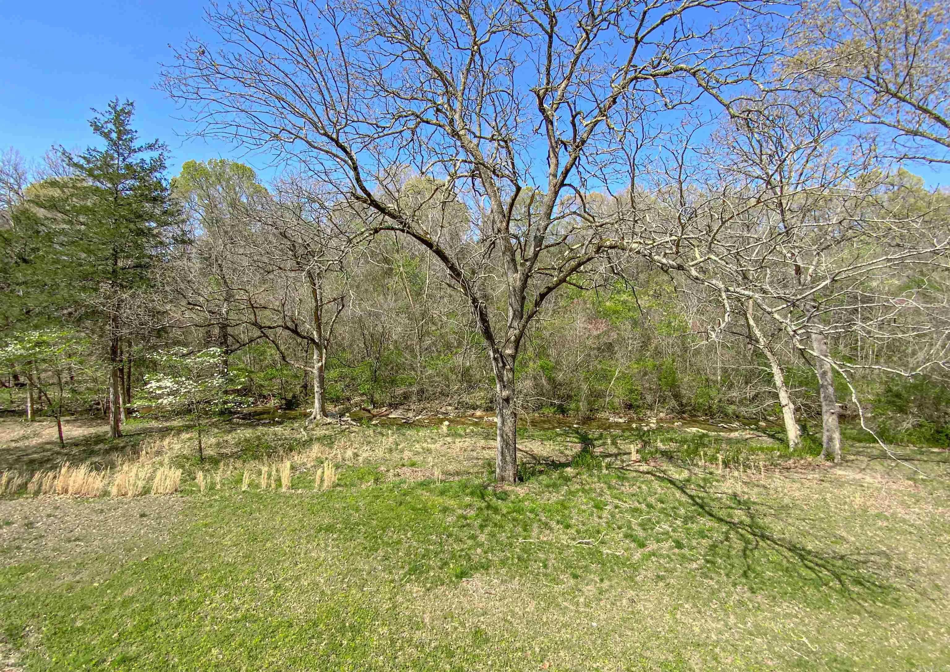Property at 110  Walnut - Image 10