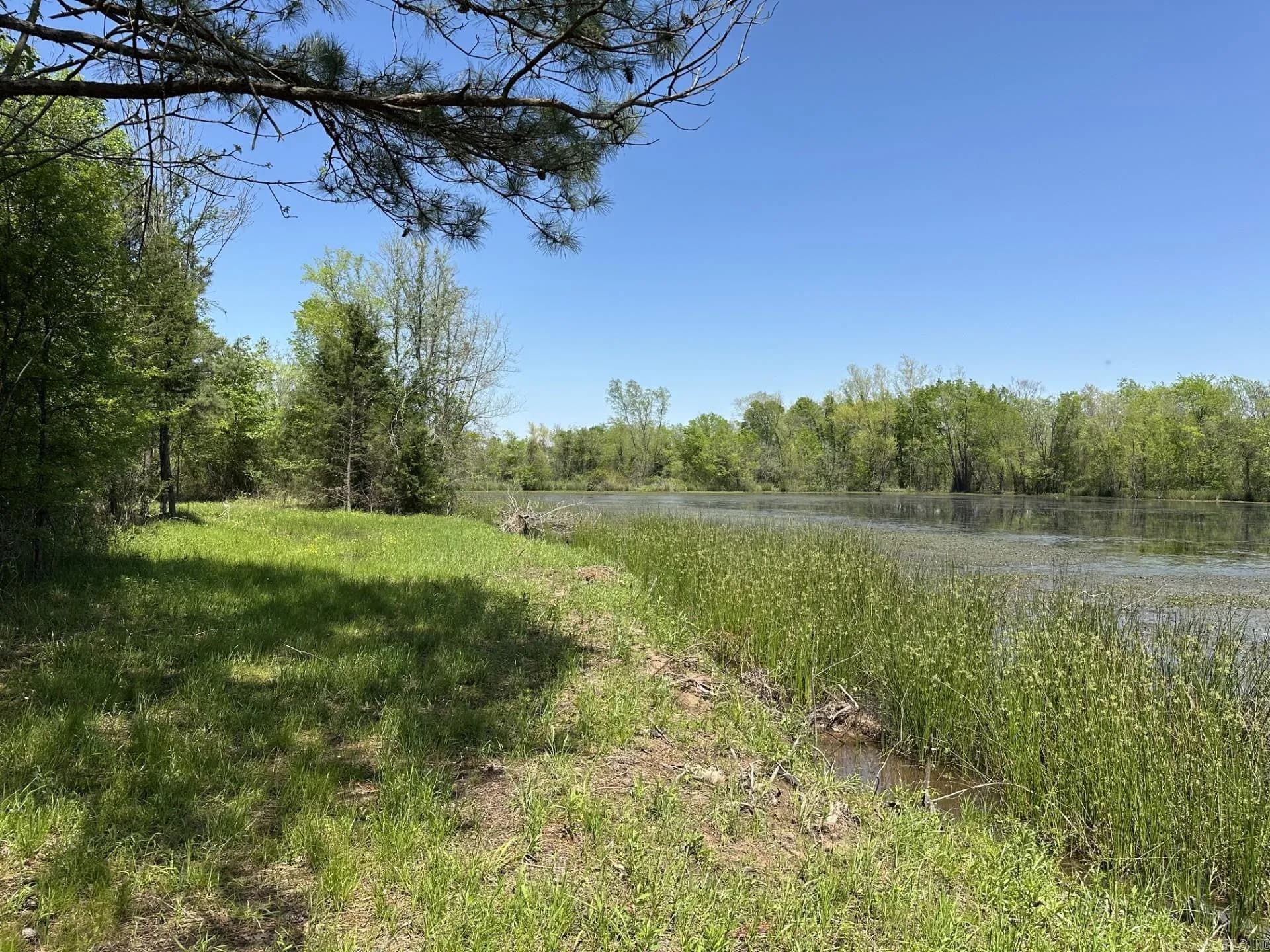 Property at 000  Us highway 71 - Image 1