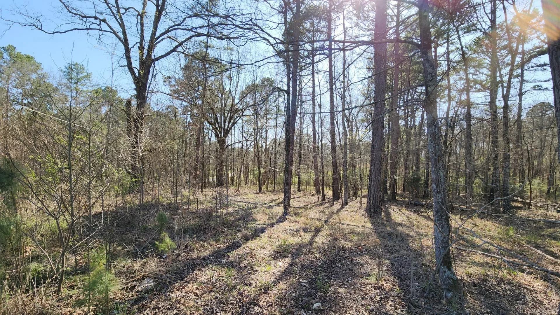 Property at 000 N Highway 7  north - Image 25