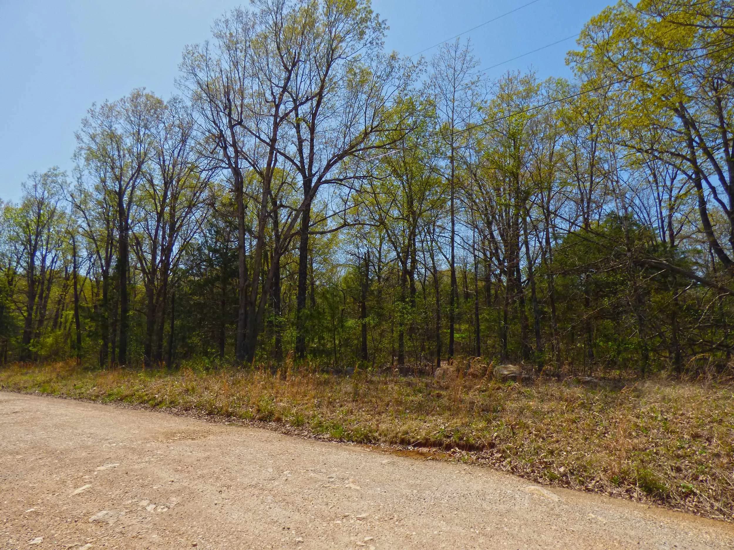 Property at Us hwy 63 - Image 9