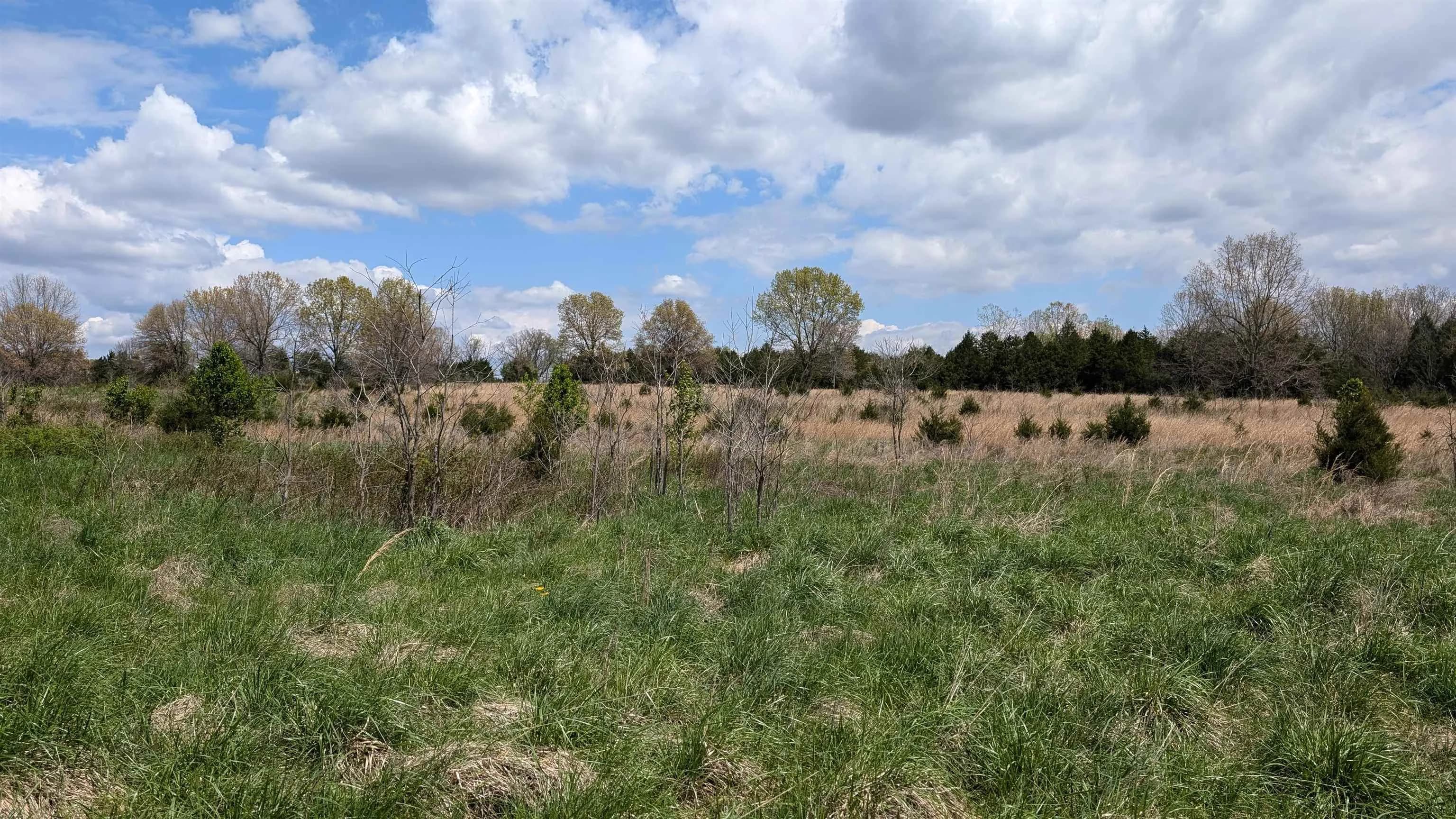 Property at 56 - Image 4
