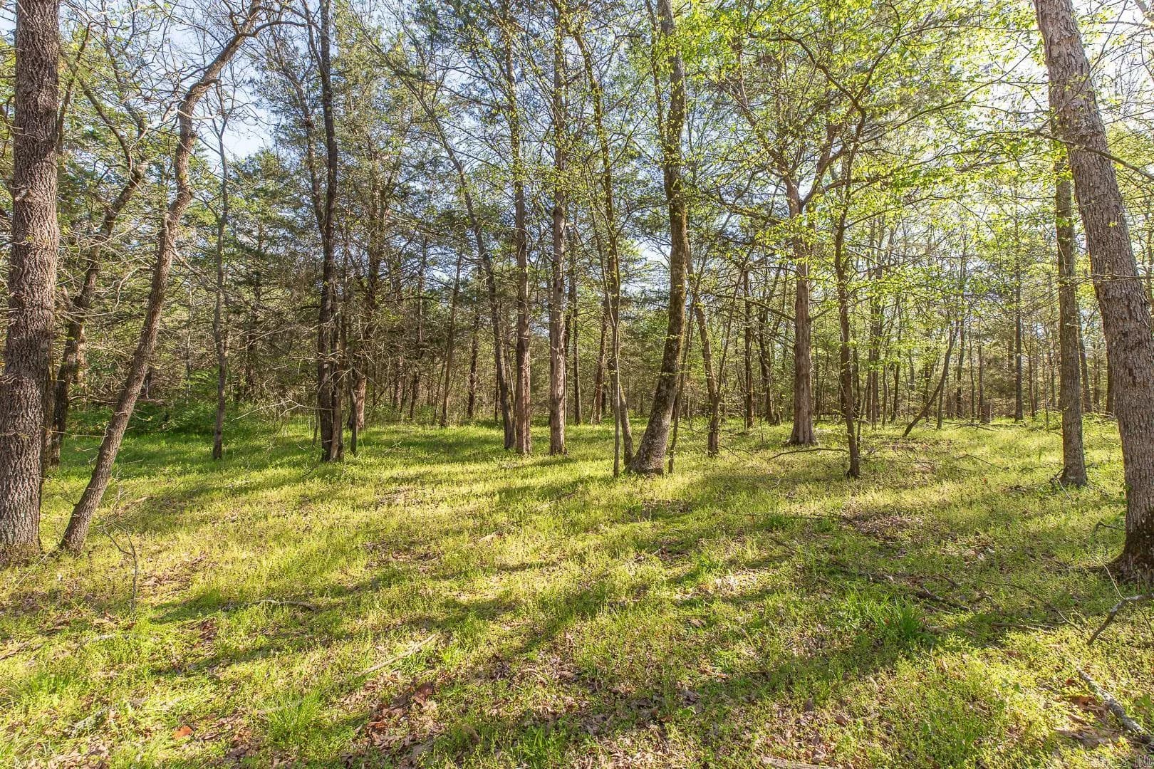 Property at Unk  Polk road 670 - Image 9