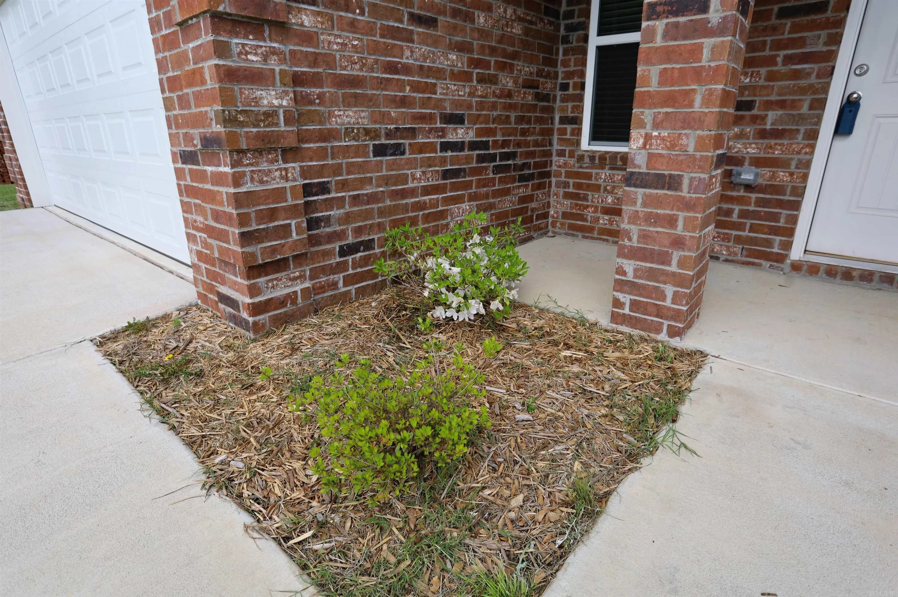 Property at 116  James - Image 50