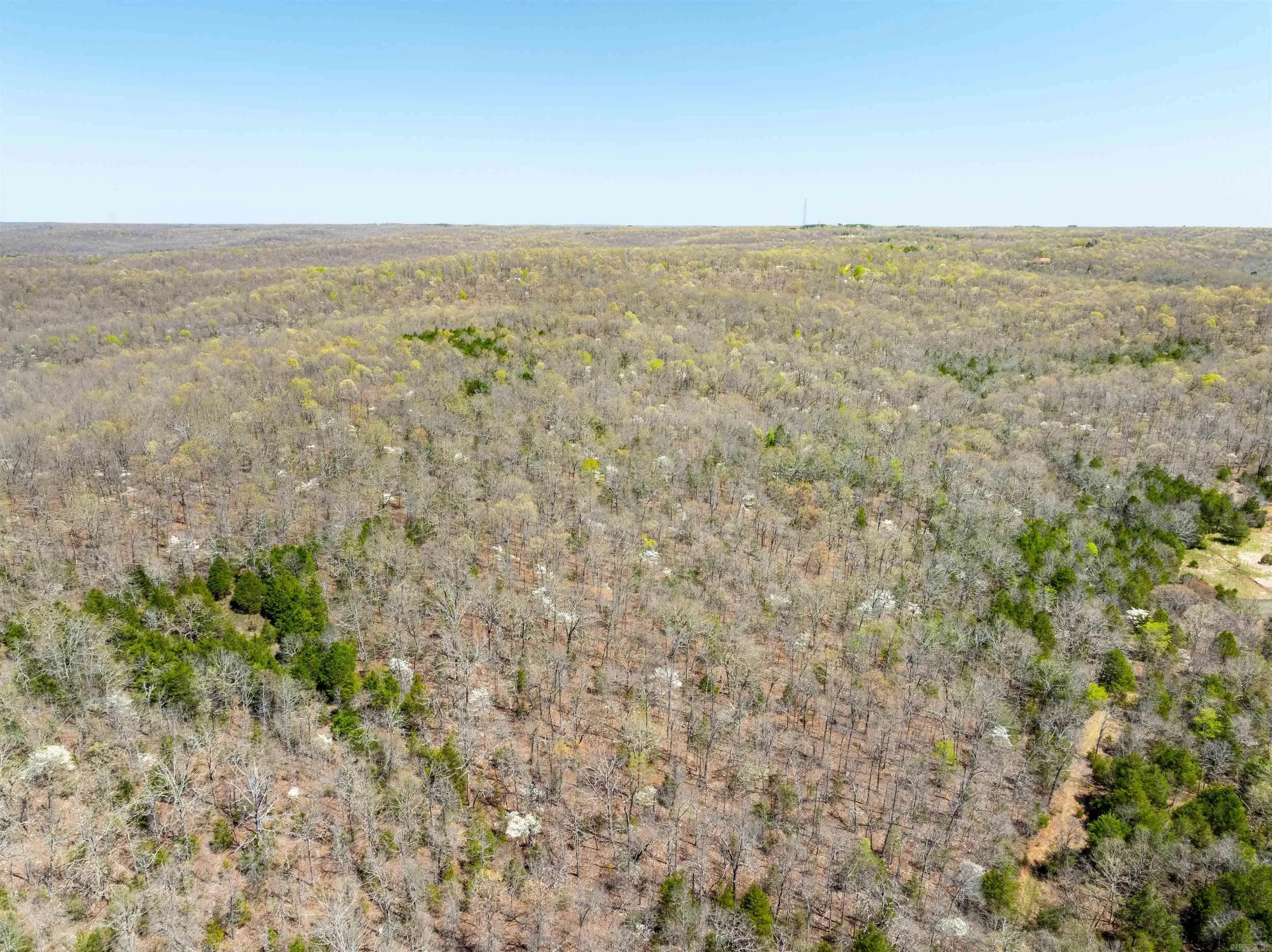 Property at Timber creek trl - Image 1