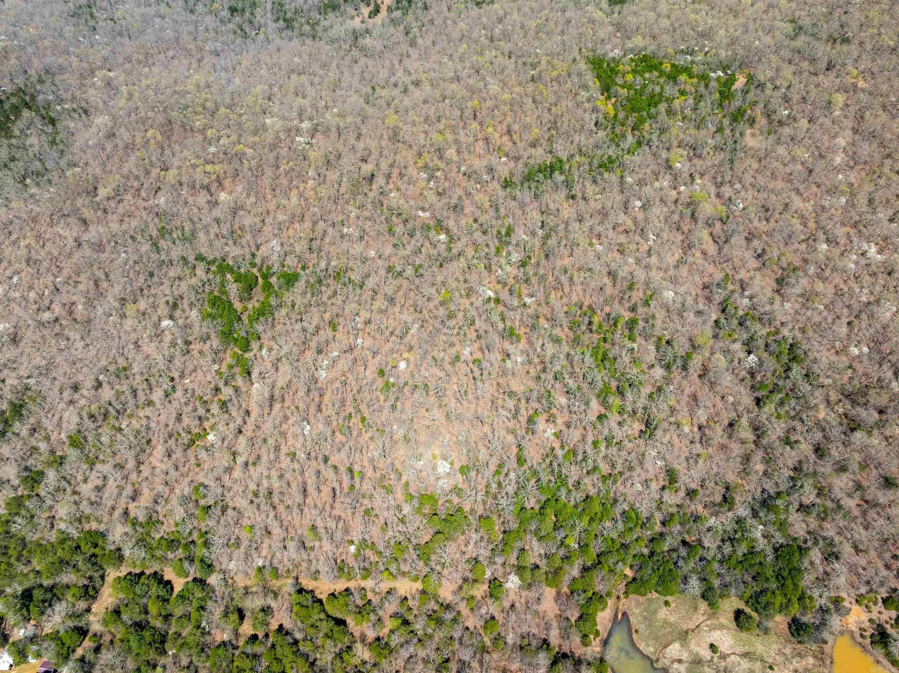 Property at Timber creek trl - Image 9