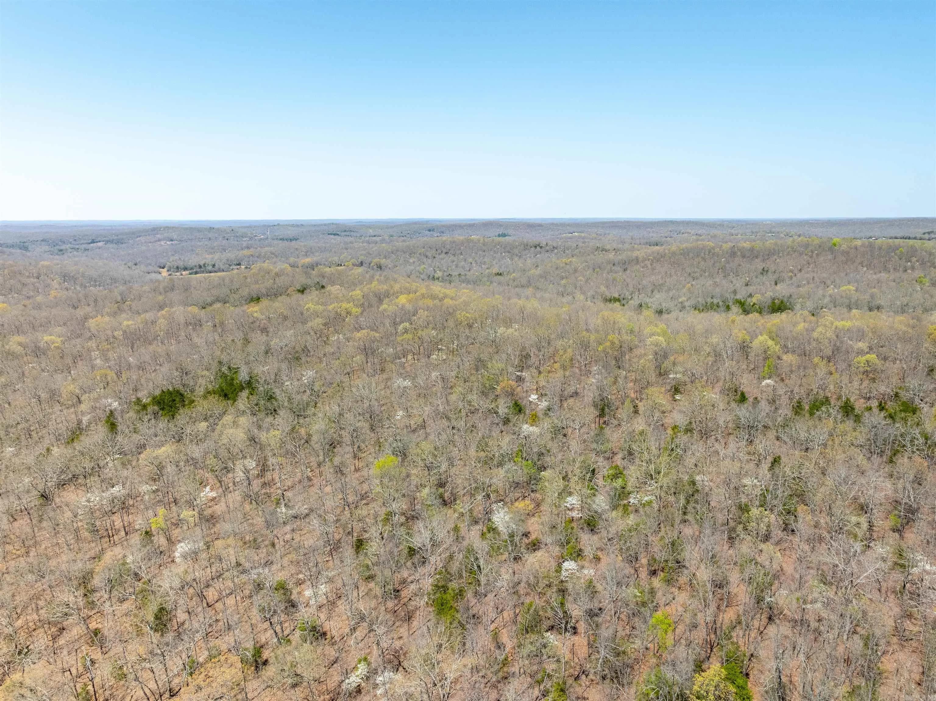 Property at Timber creek trl - Image 8
