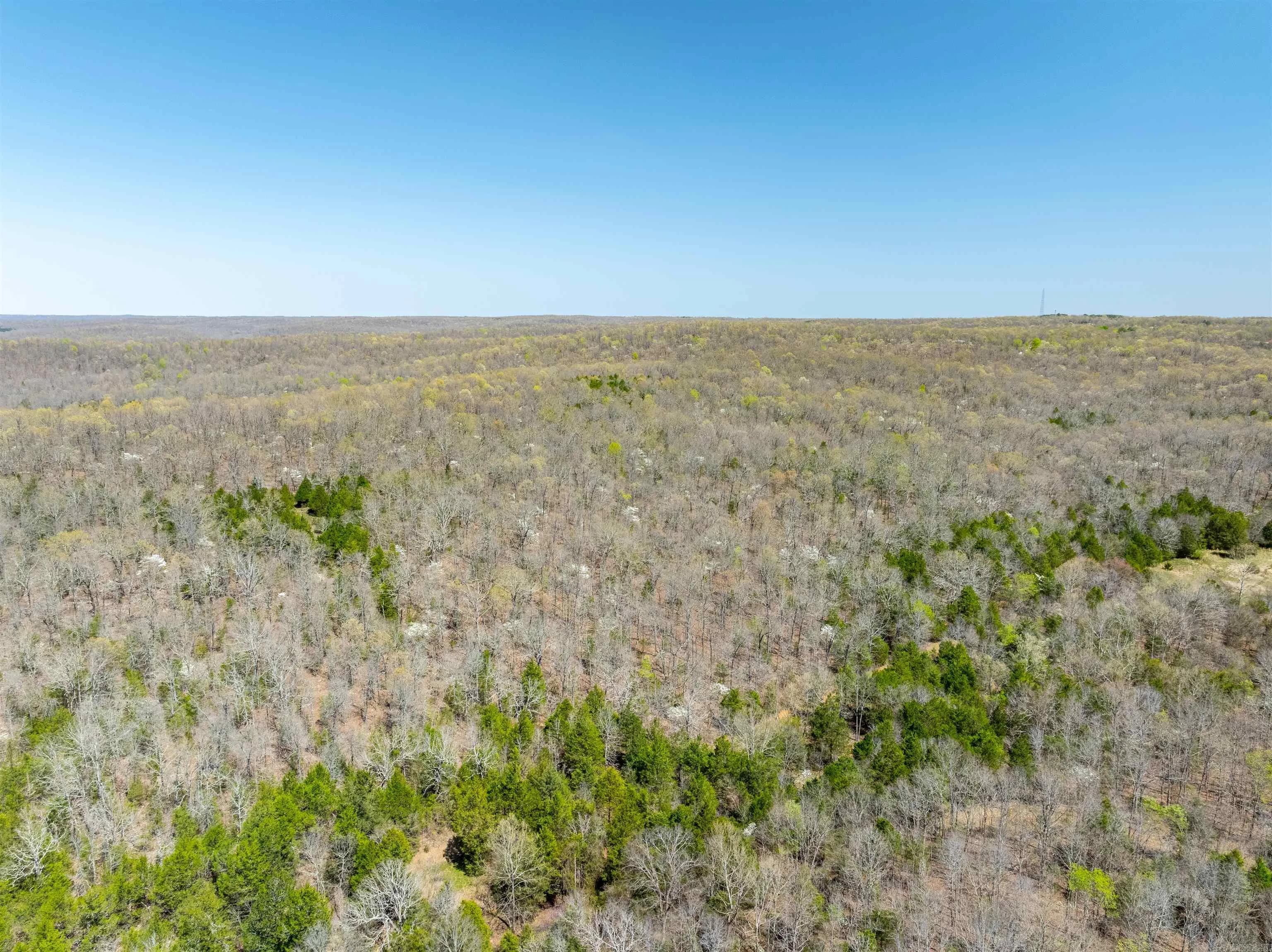 Property at Timber creek trl - Image 13