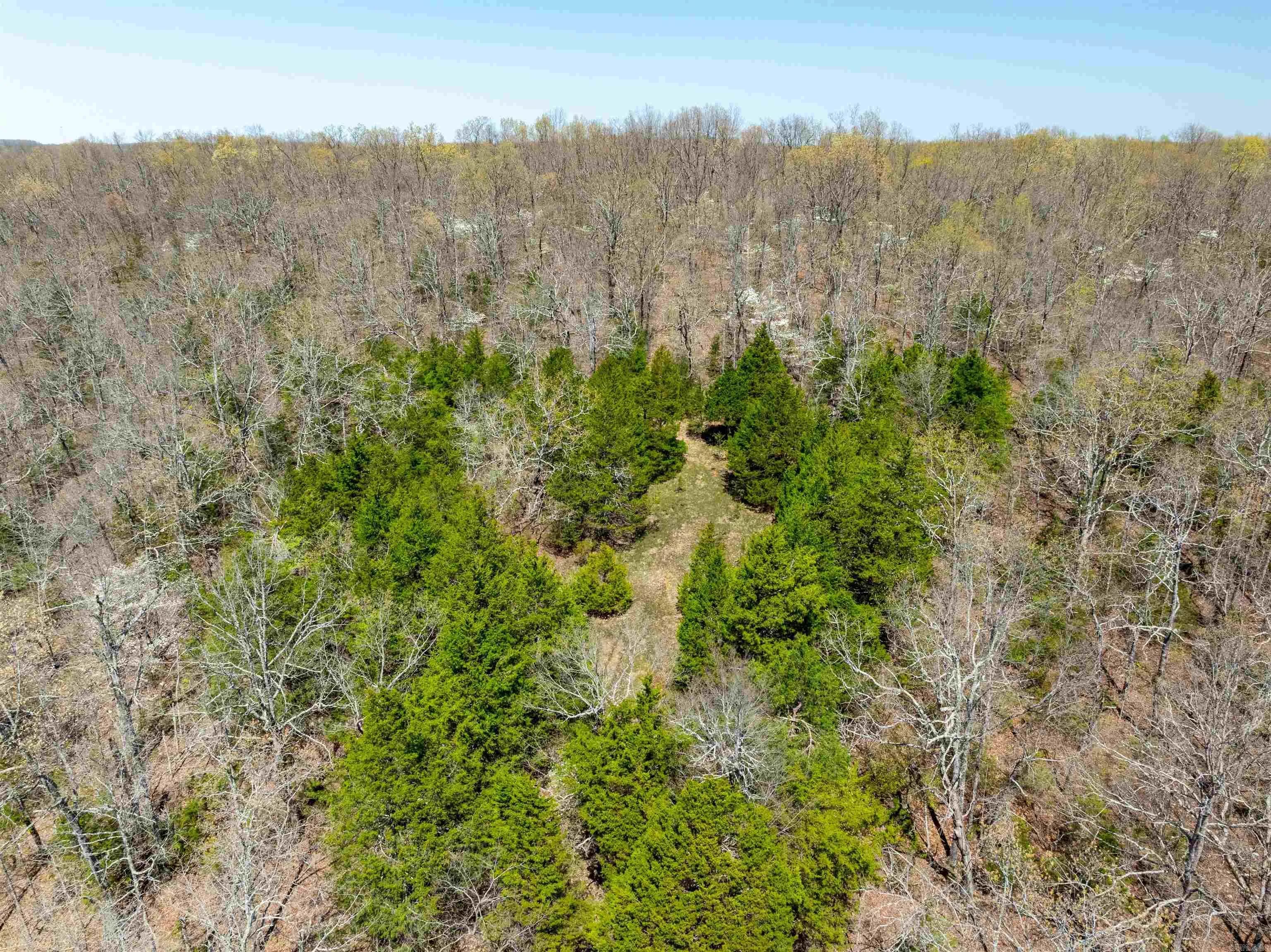 Property at Timber creek trl - Image 10