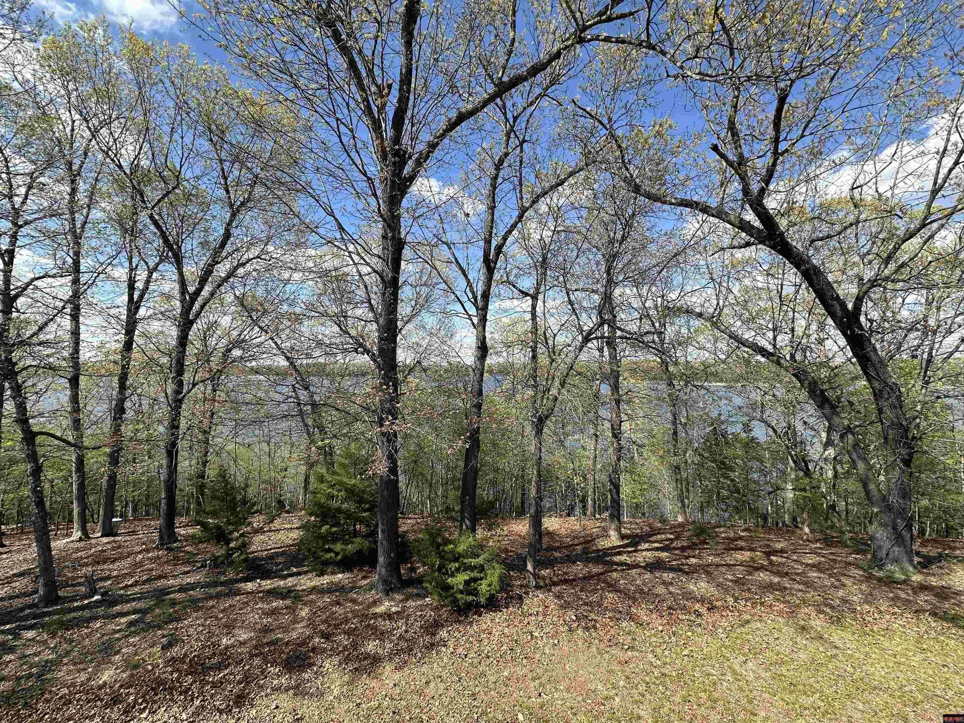 Property at 13534  Mc 8001 - Image 37