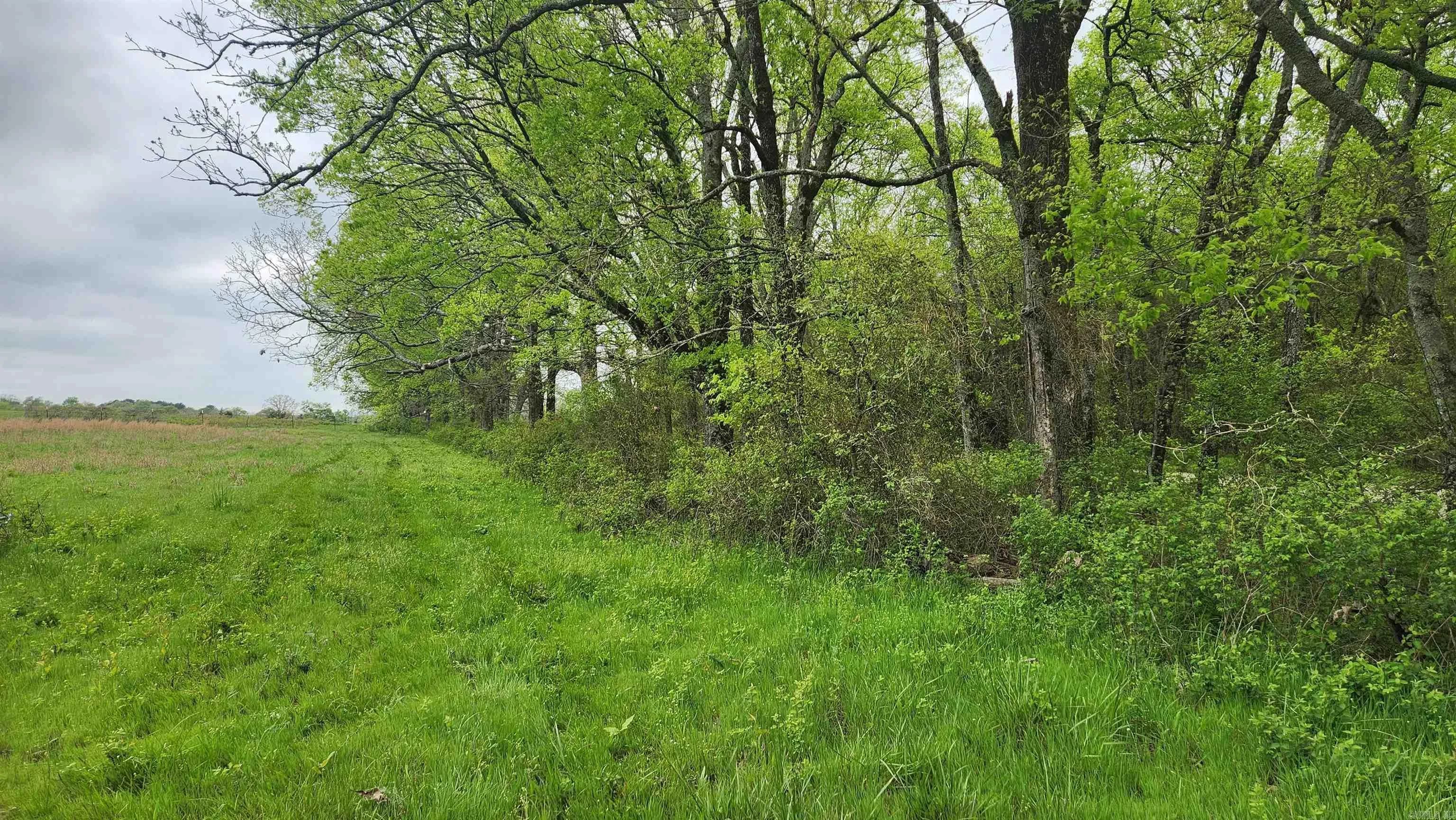 Property at TBD  Red haw - Image 25