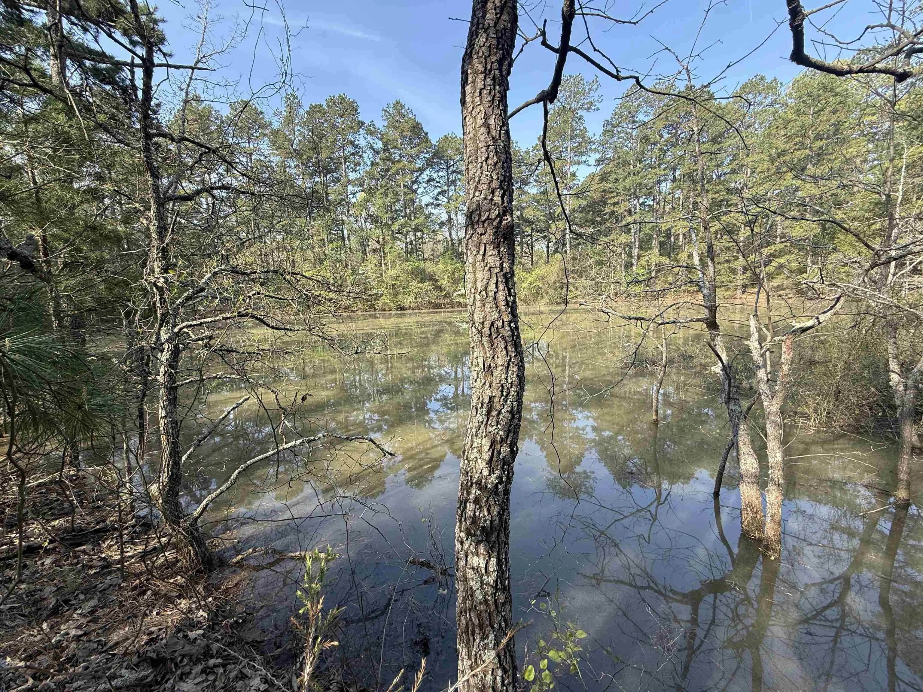 Property at 1314  Shoemaker road - Image 2