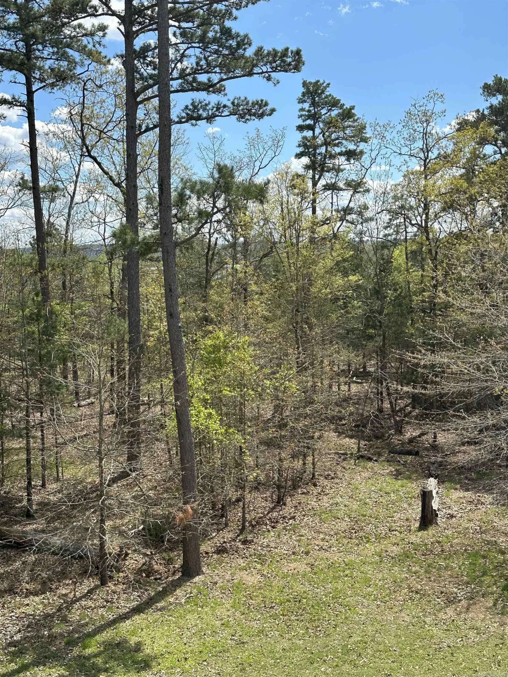 Property at 290  Island shores - Image 40