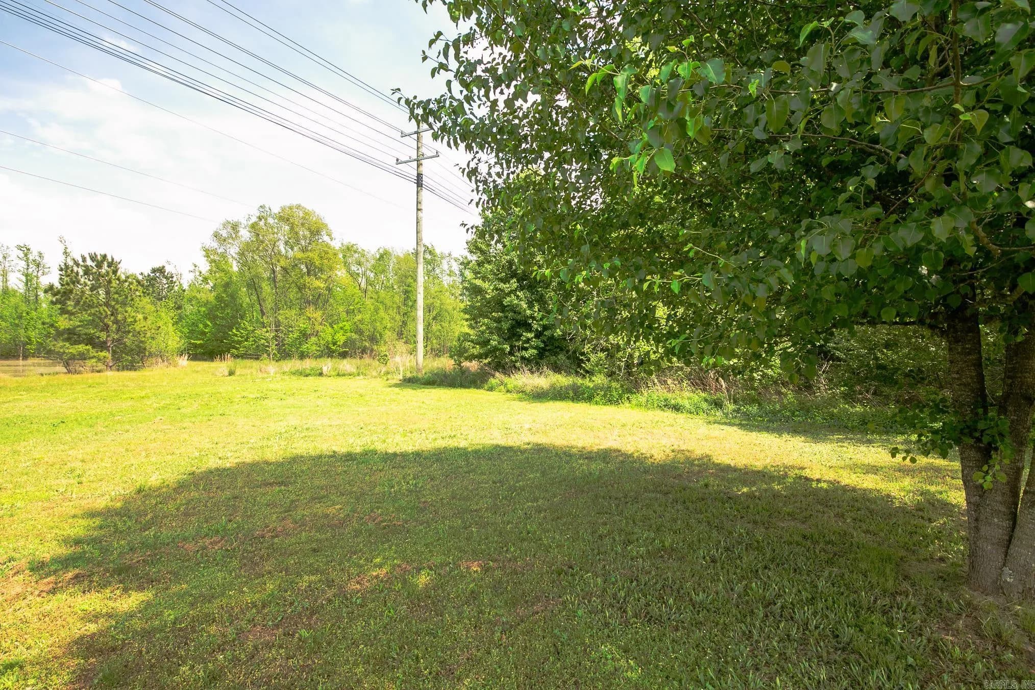 Property at 335  Cobra - Image 41