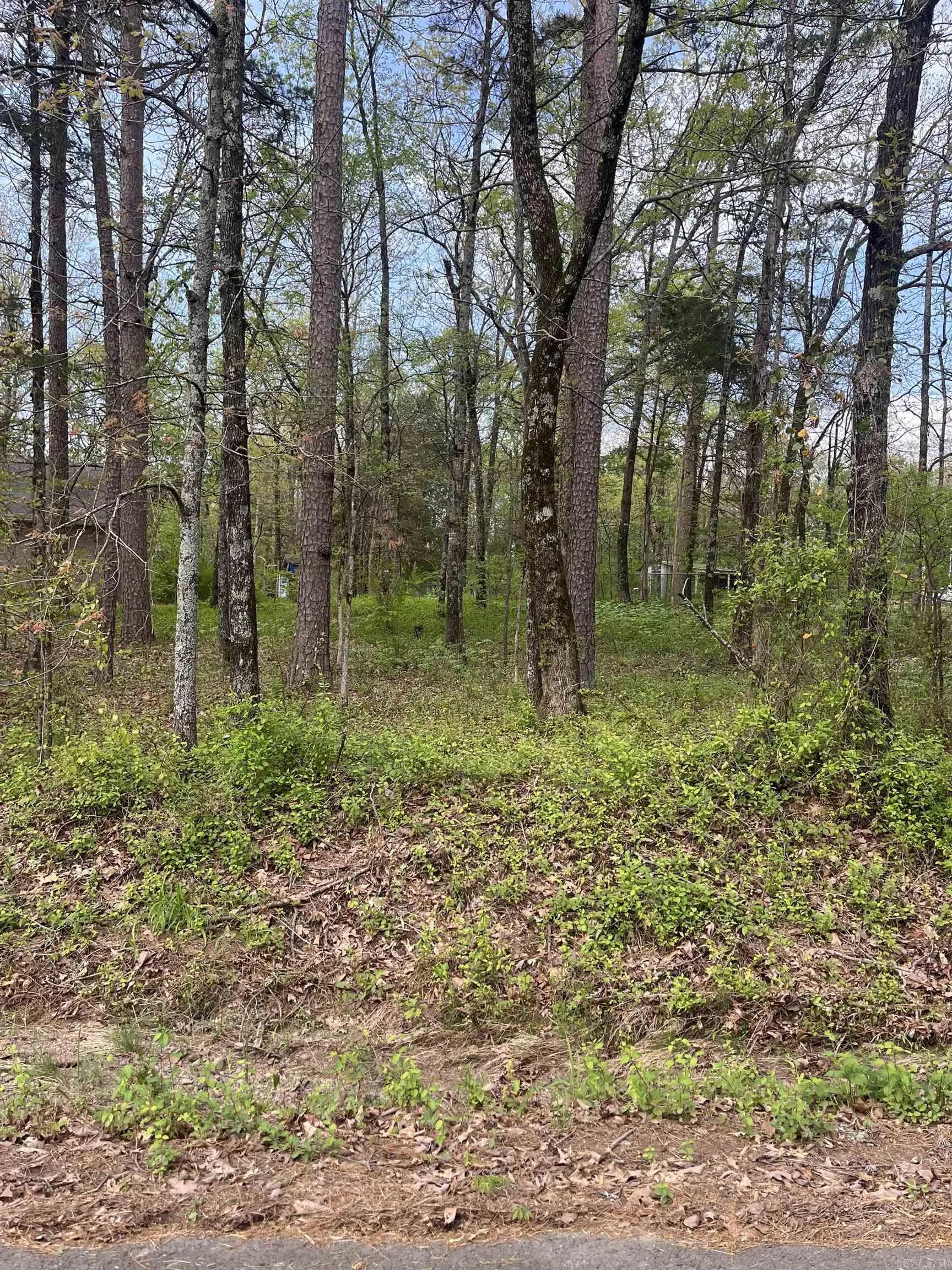 Property at Lot 5  Lynch rd. - Image 2