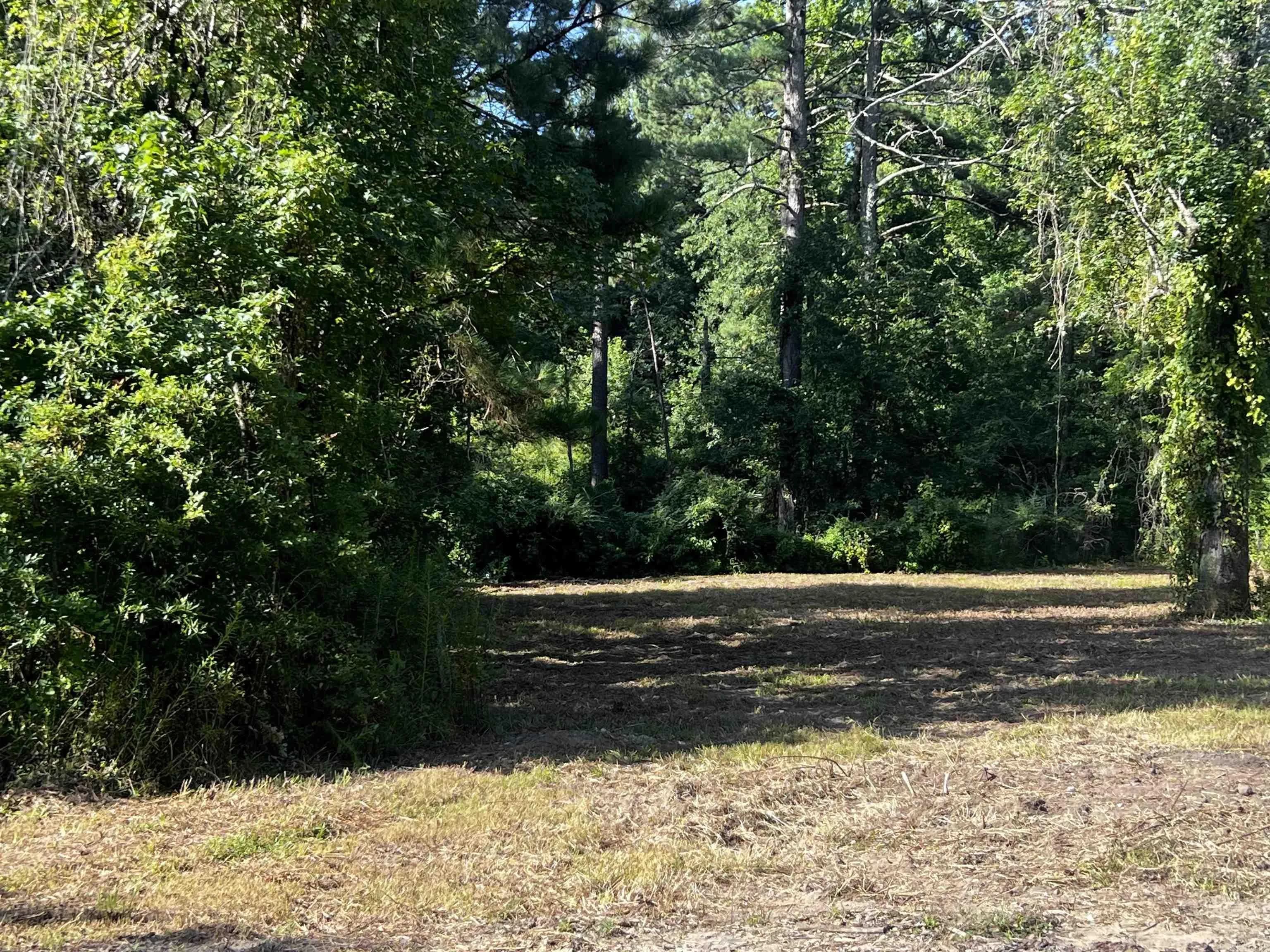 Property at 7912  Sorrells road - Image 4