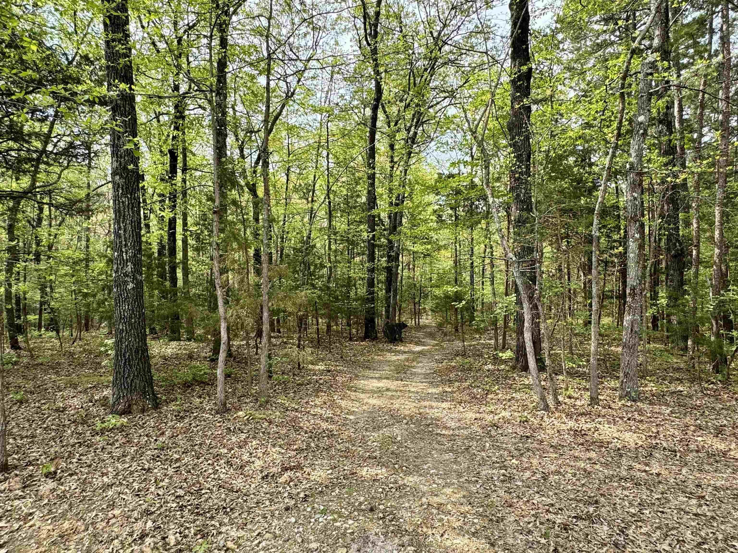 Property at 5183  Hwy 14 - Image 42