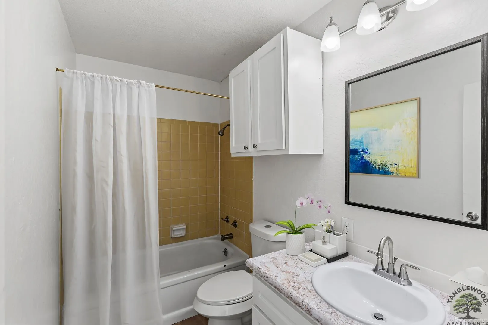 Property at 401  Morrow street s - Image 7