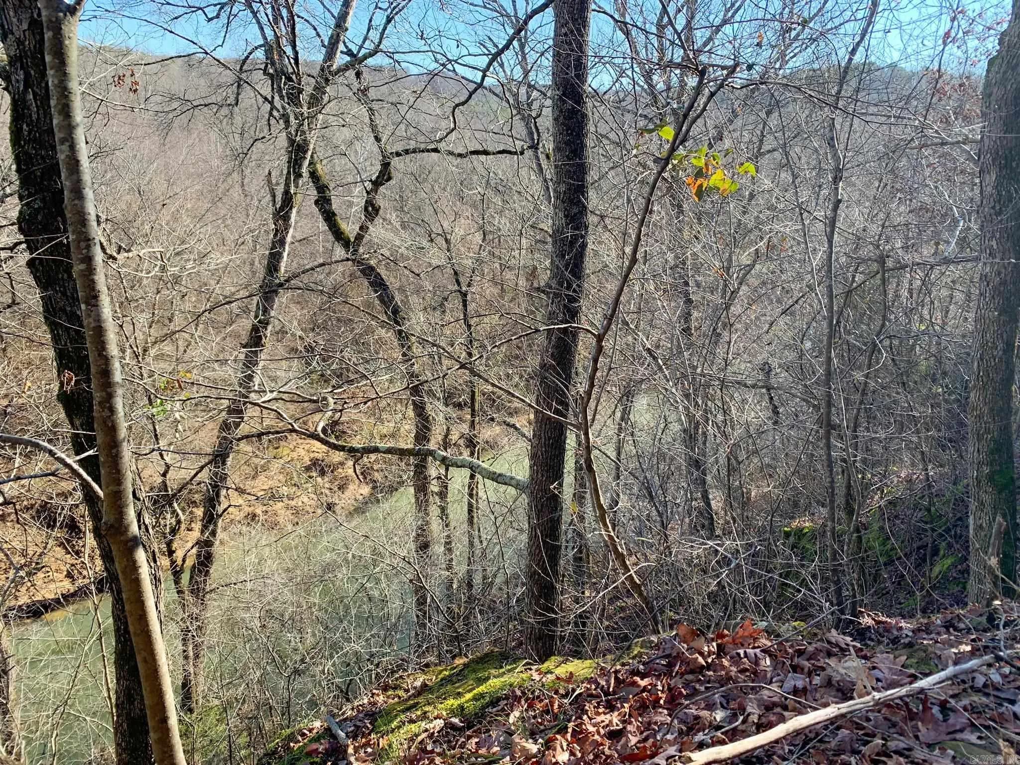 Property at 1700  Odom point - Image 14