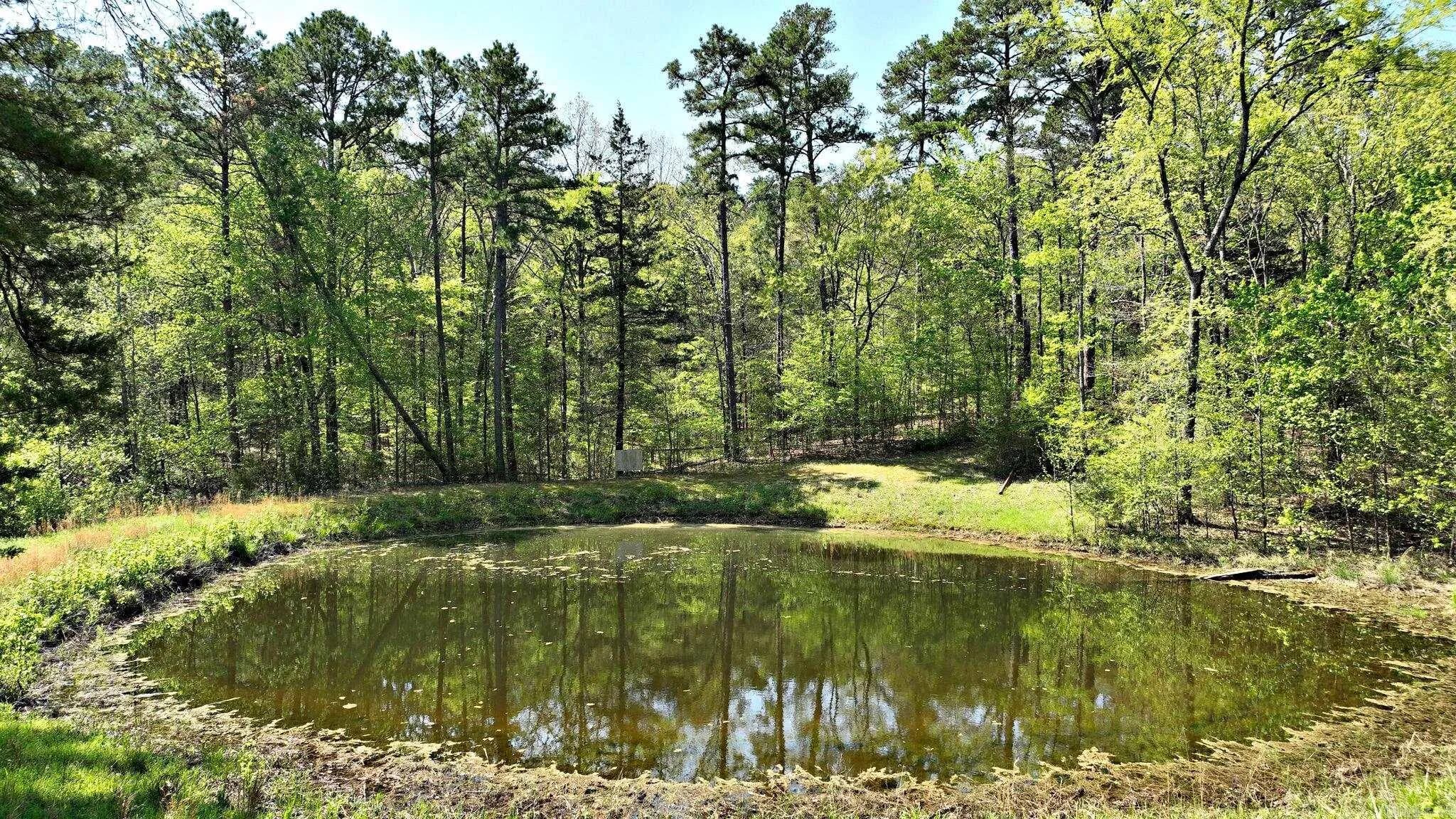 Property at 120  Paw lane - Image 8