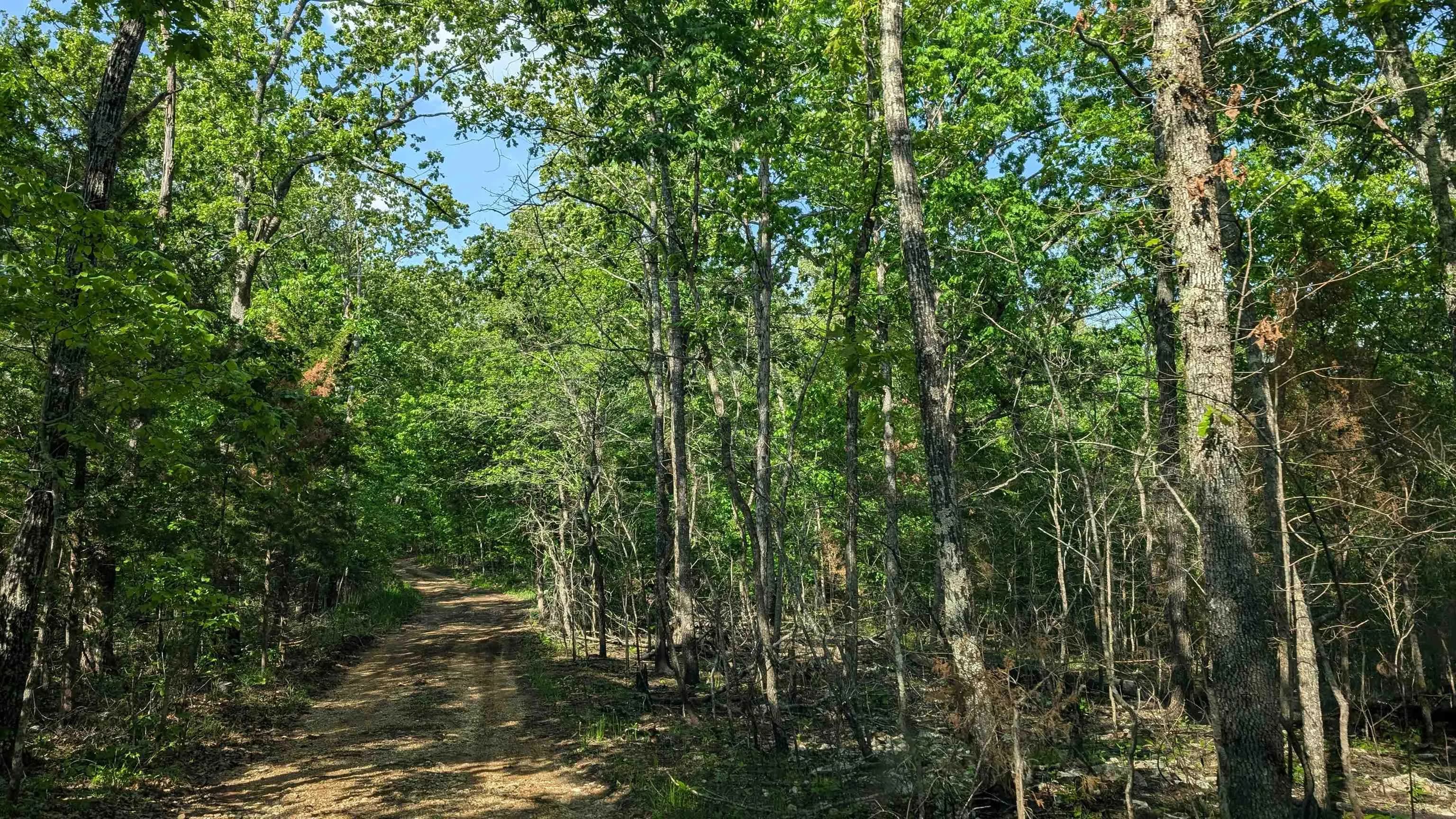 Property at Old cc - Image 2