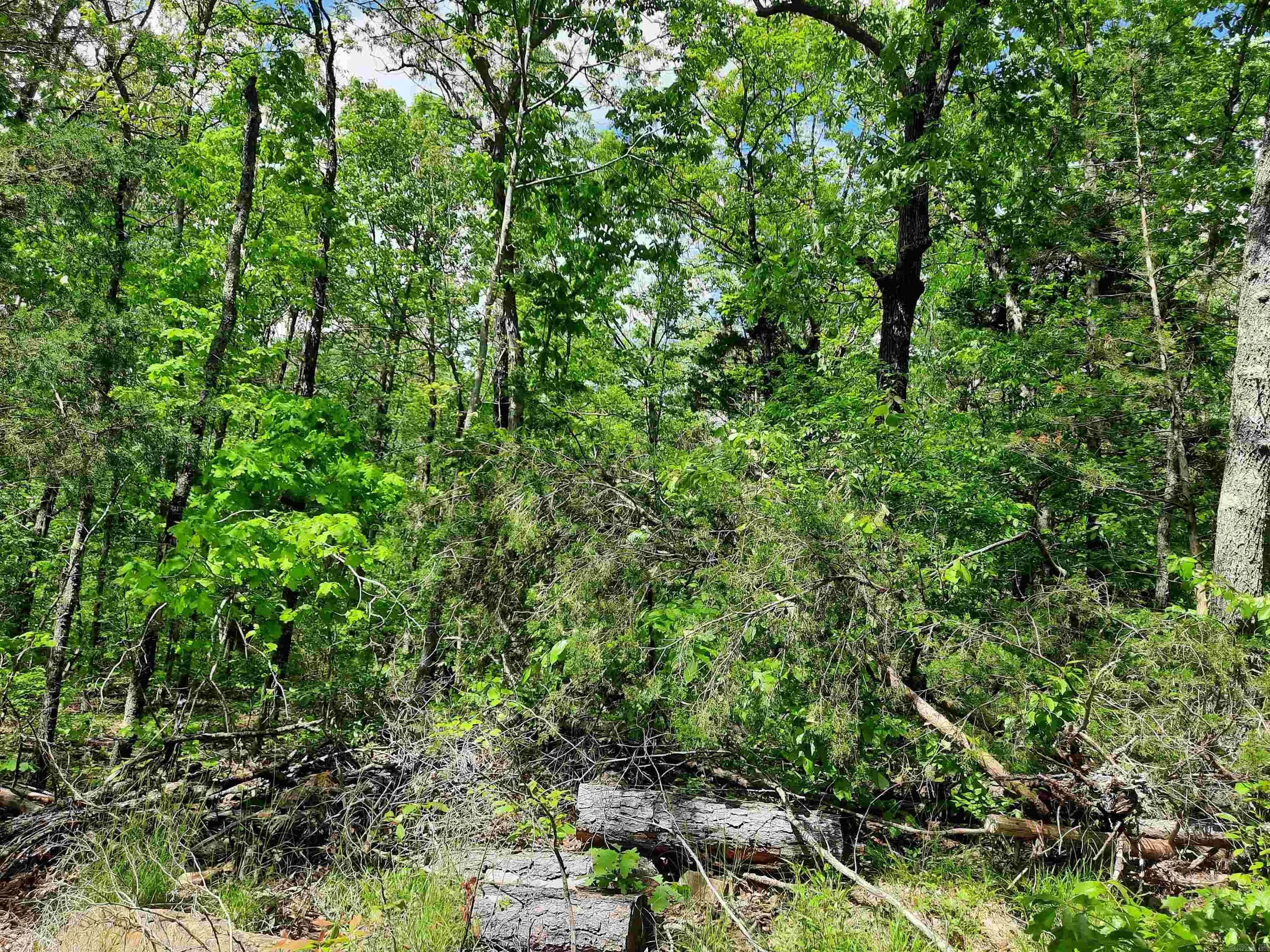 Property at 000  Benson road - Image 9
