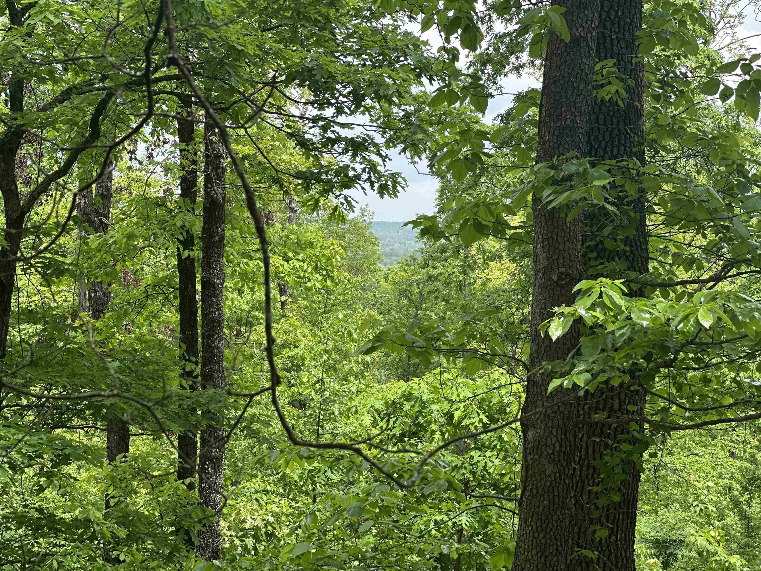 Property at 000  Holley mtn rd - Image 6