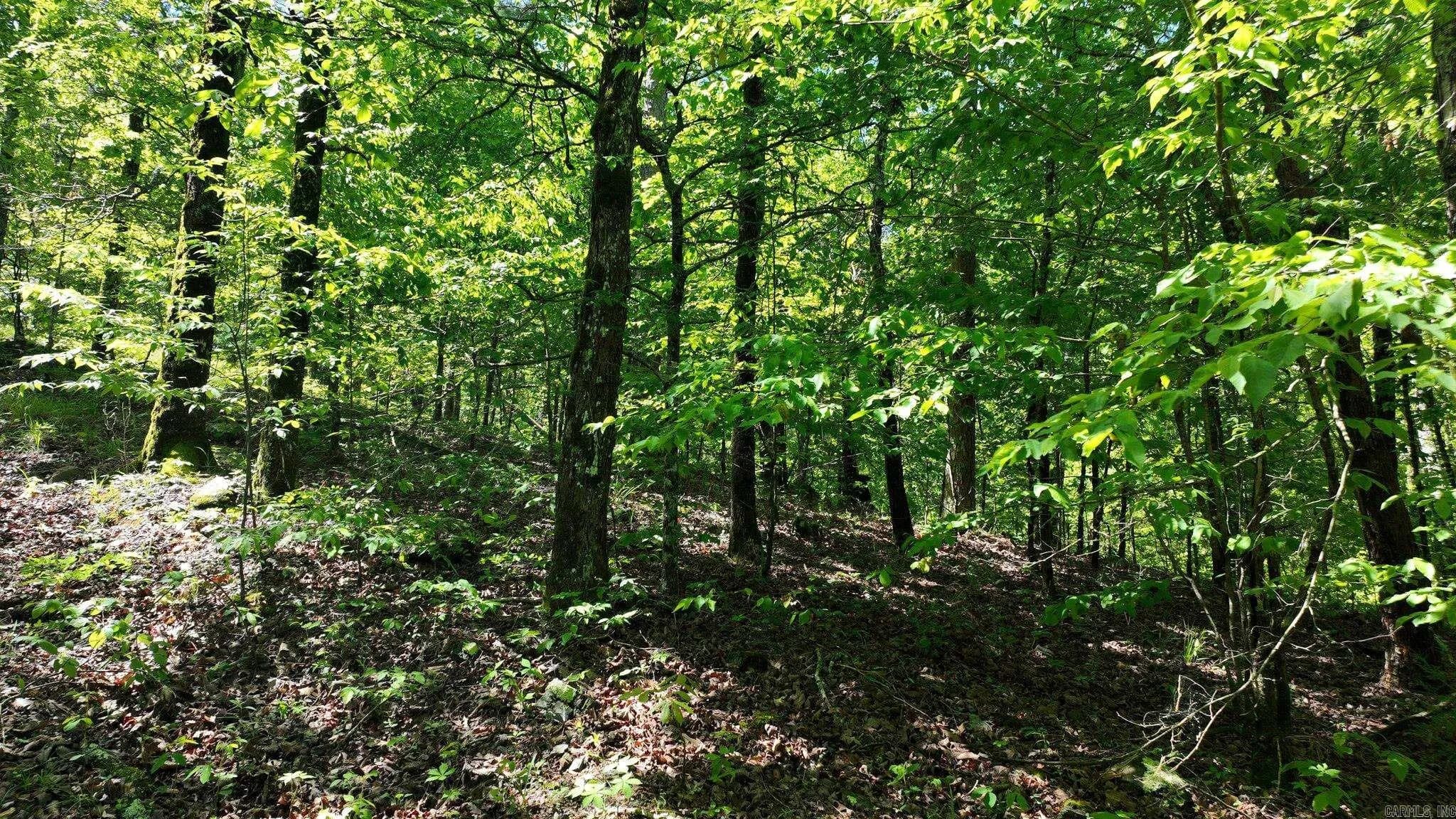 Property at TBD (Lot 2 & 6)  Heather lane - Image 16