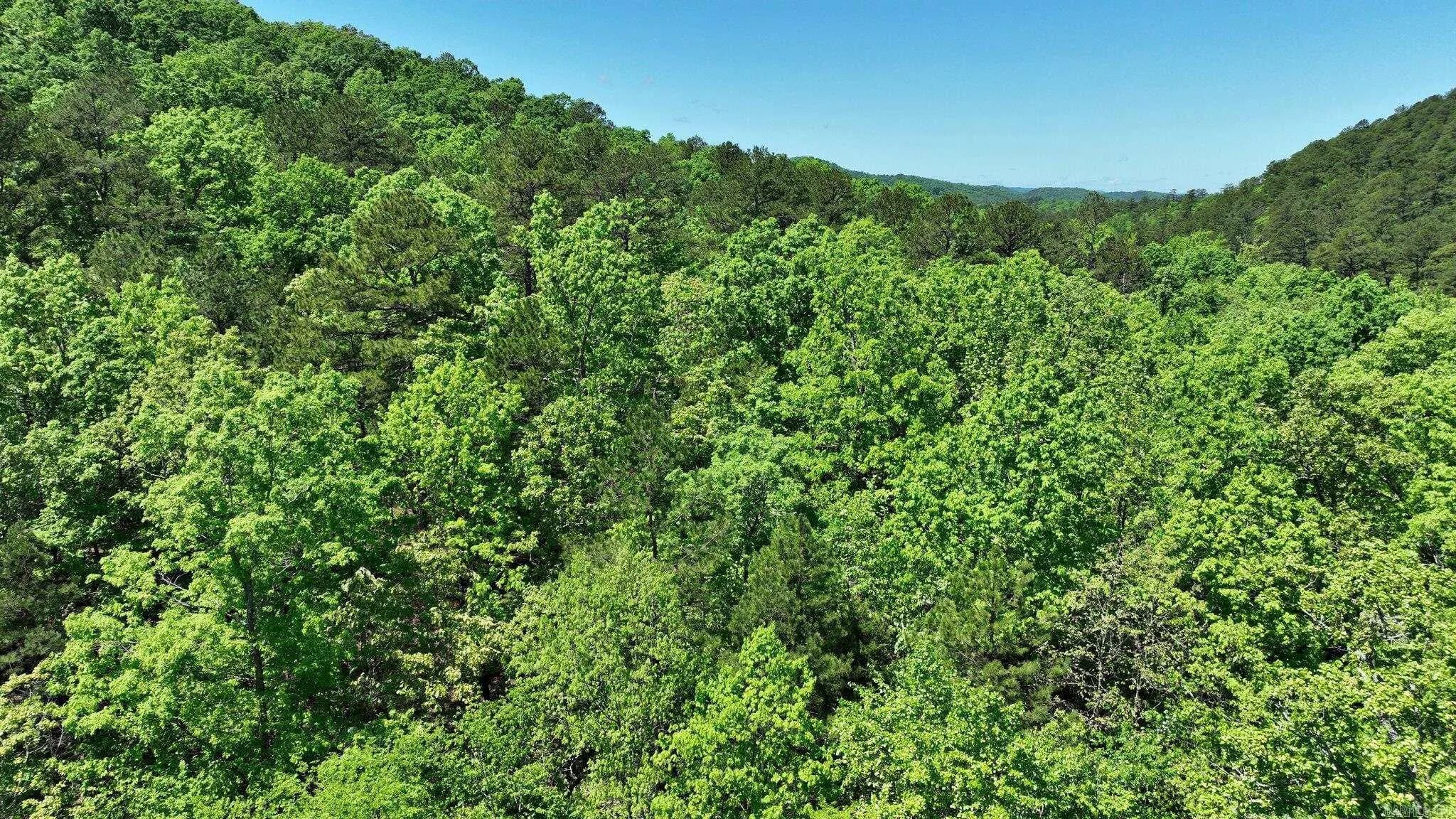 Property at TBD (Lot 2 & 6)  Heather lane - Image 11