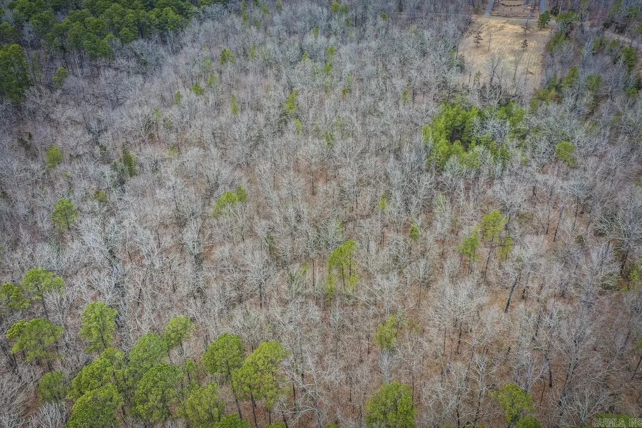 Property at 0000  Florence - Image 7