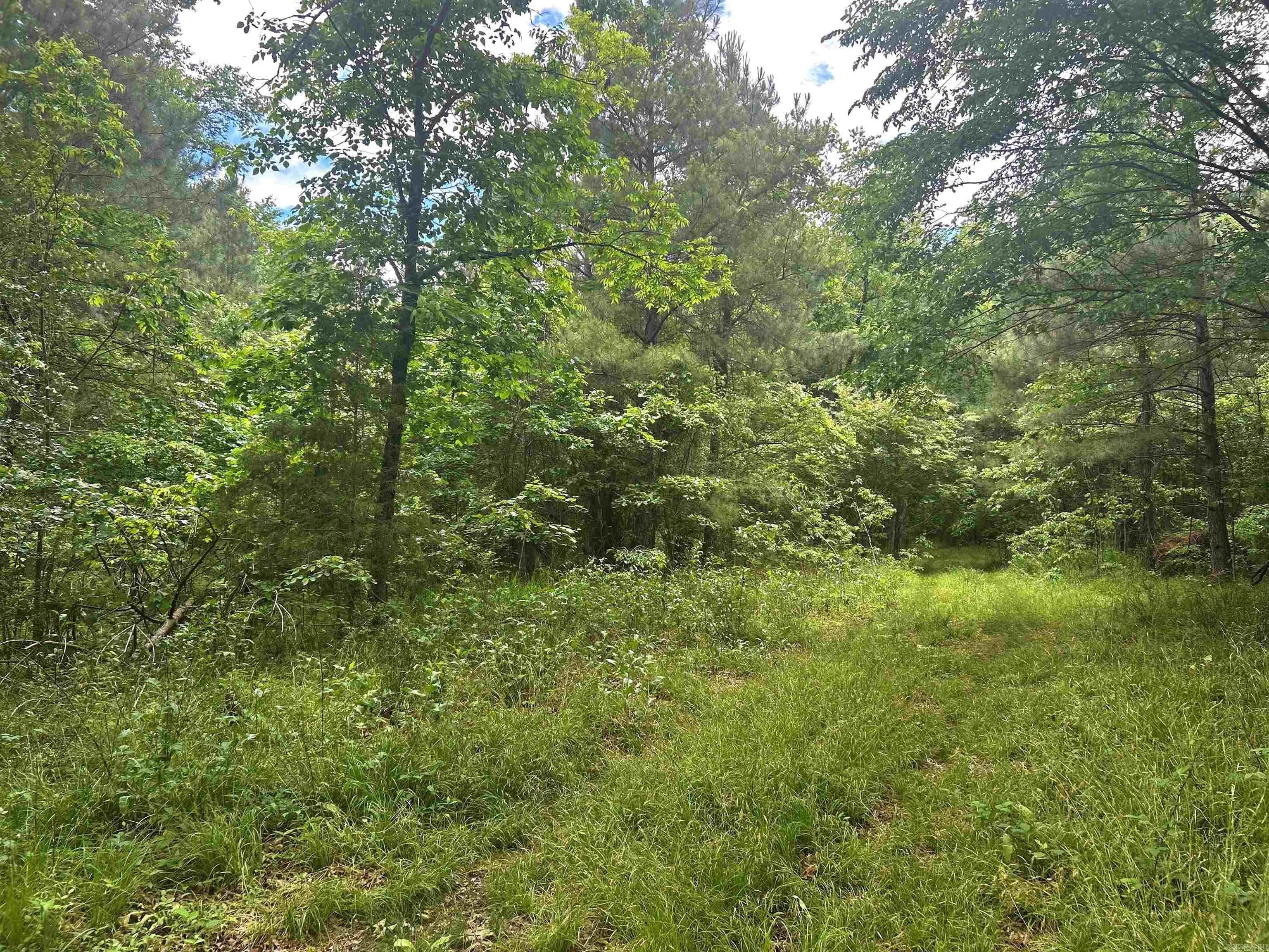 Property at TBD  Caddo - Image 6
