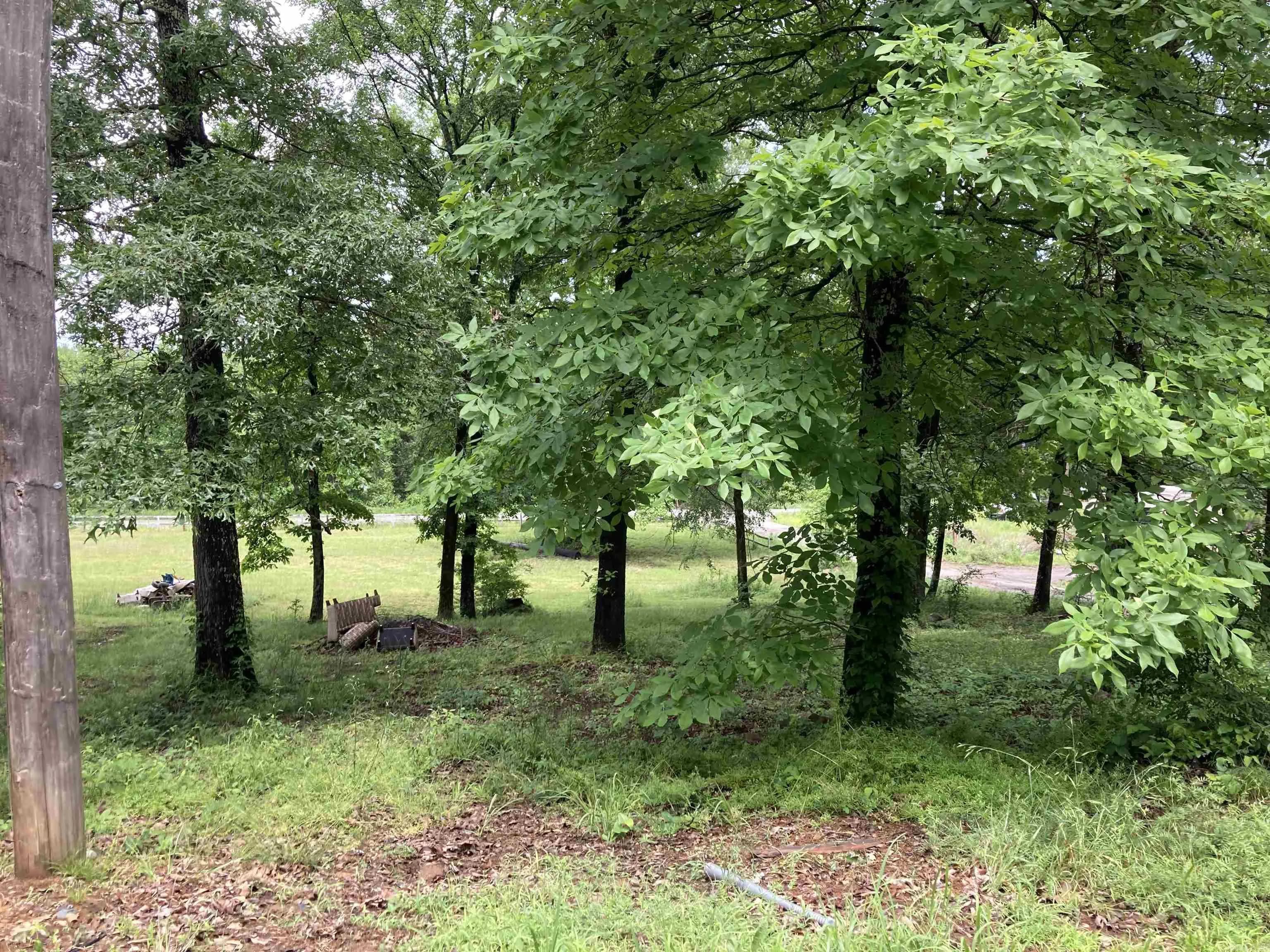 Property at 69  Otto - Image 5