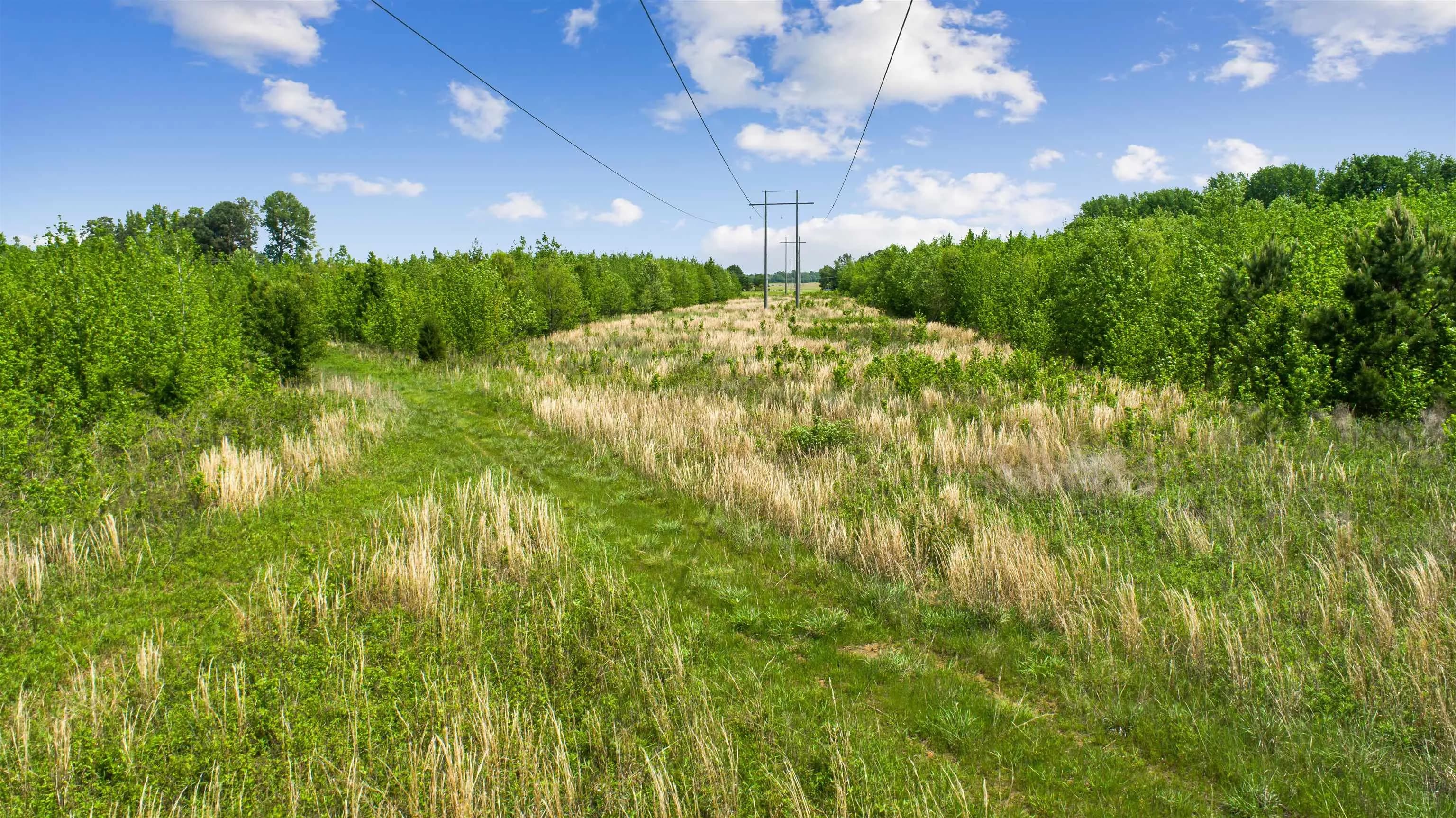 Property at 67.78 acres  Cr 114 - Image 7