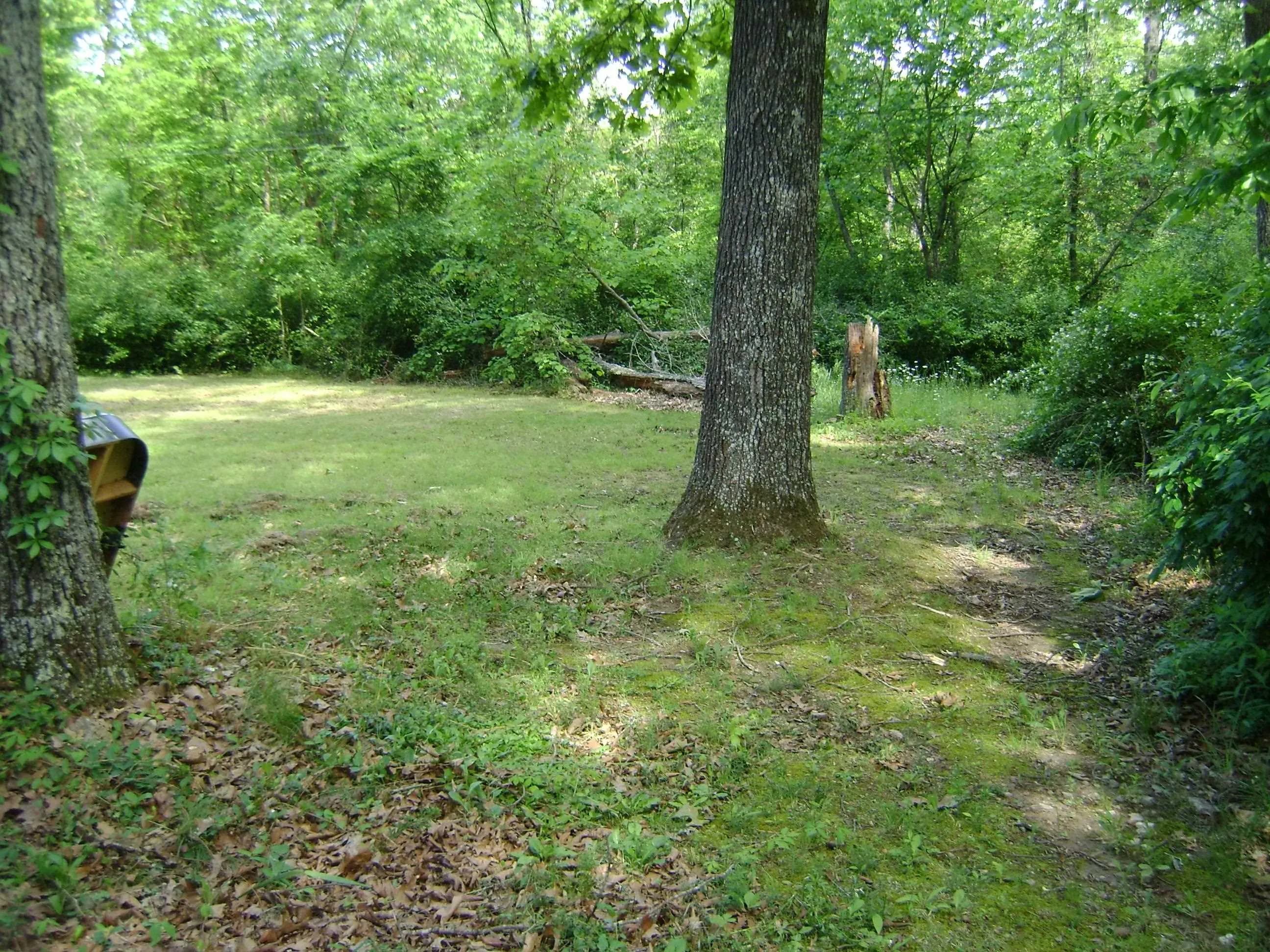 Property at 305  Bambi lane - Image 13