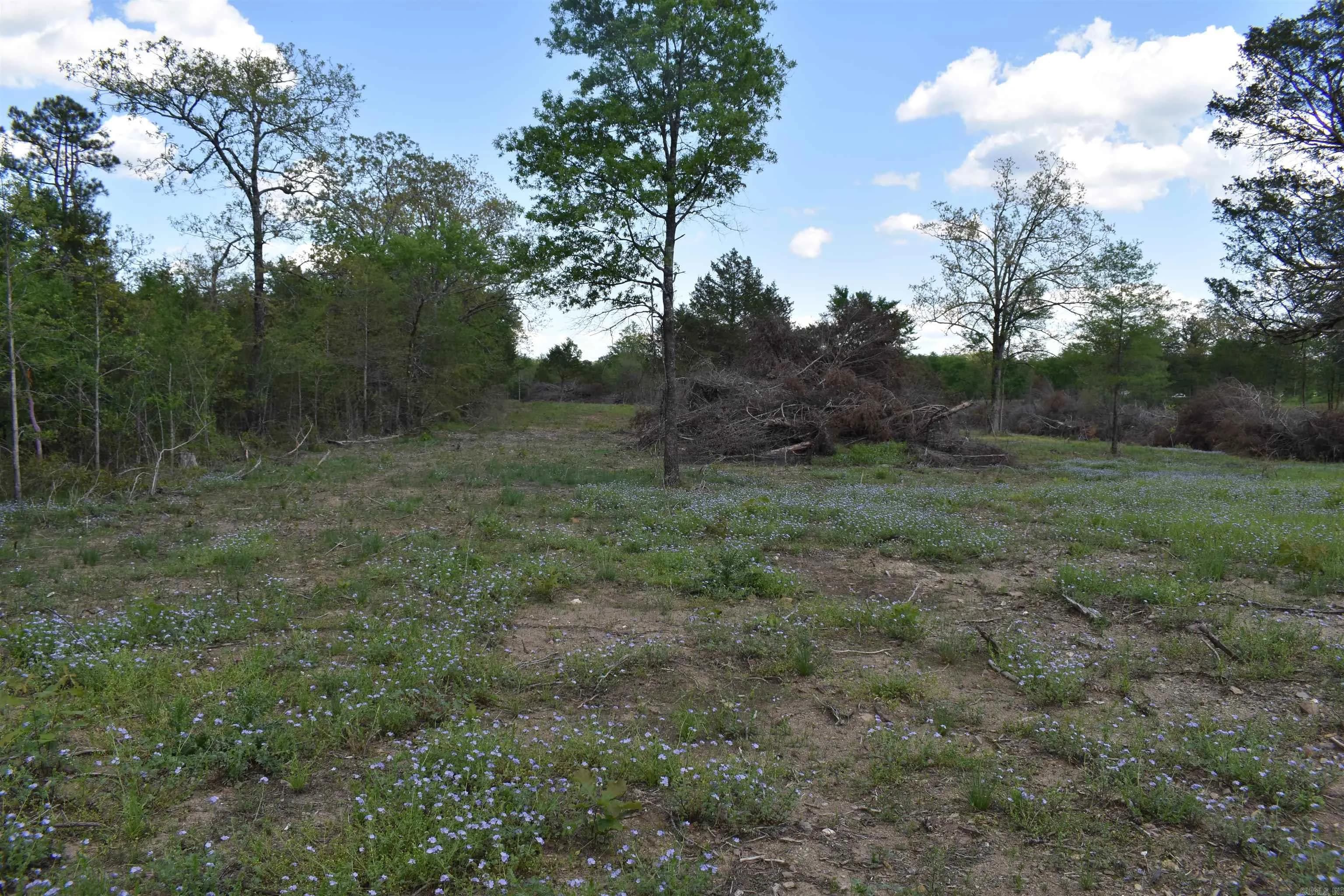 Property at 0000  Highway 88 - Image 40