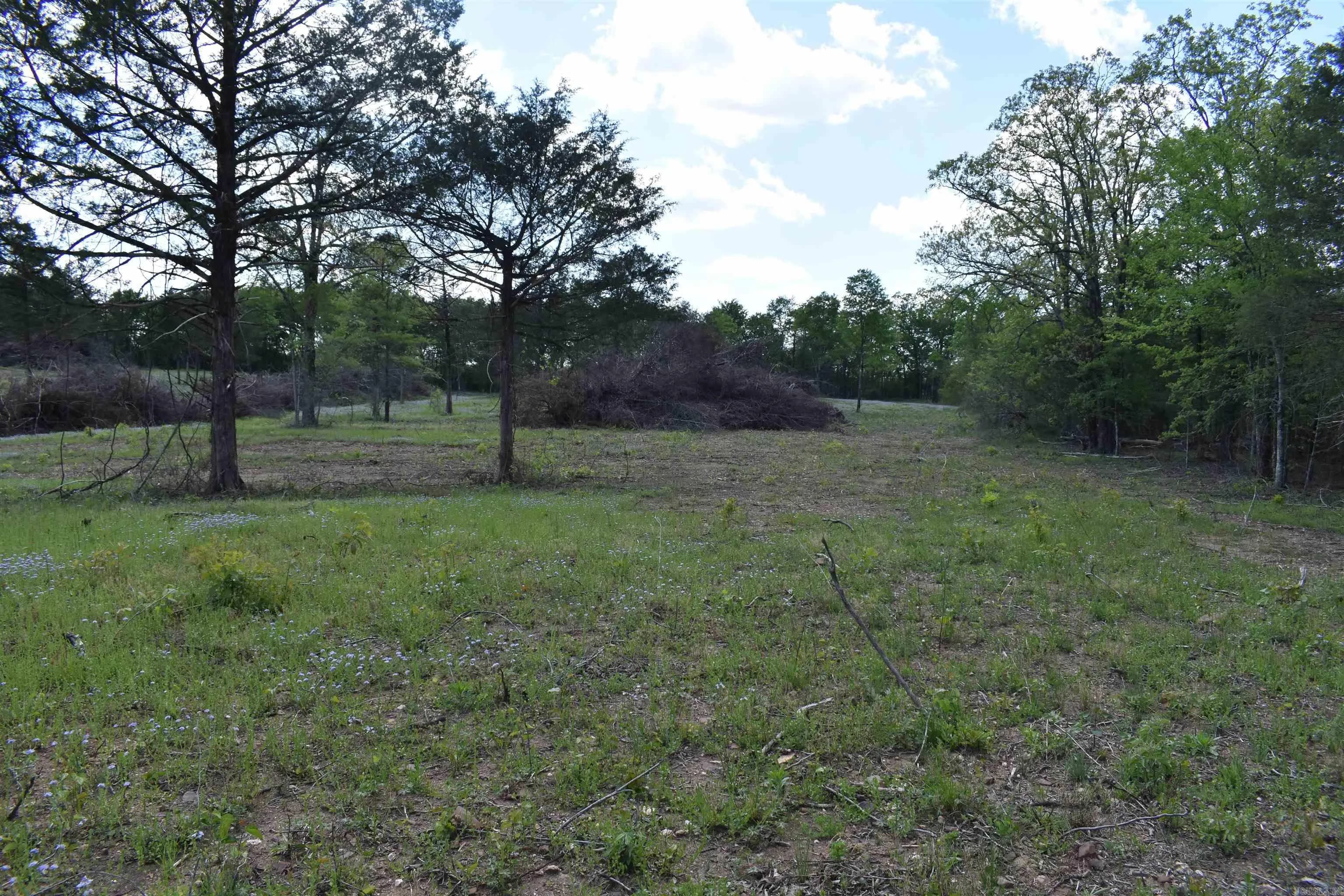 Property at 0000  Highway 88 - Image 44