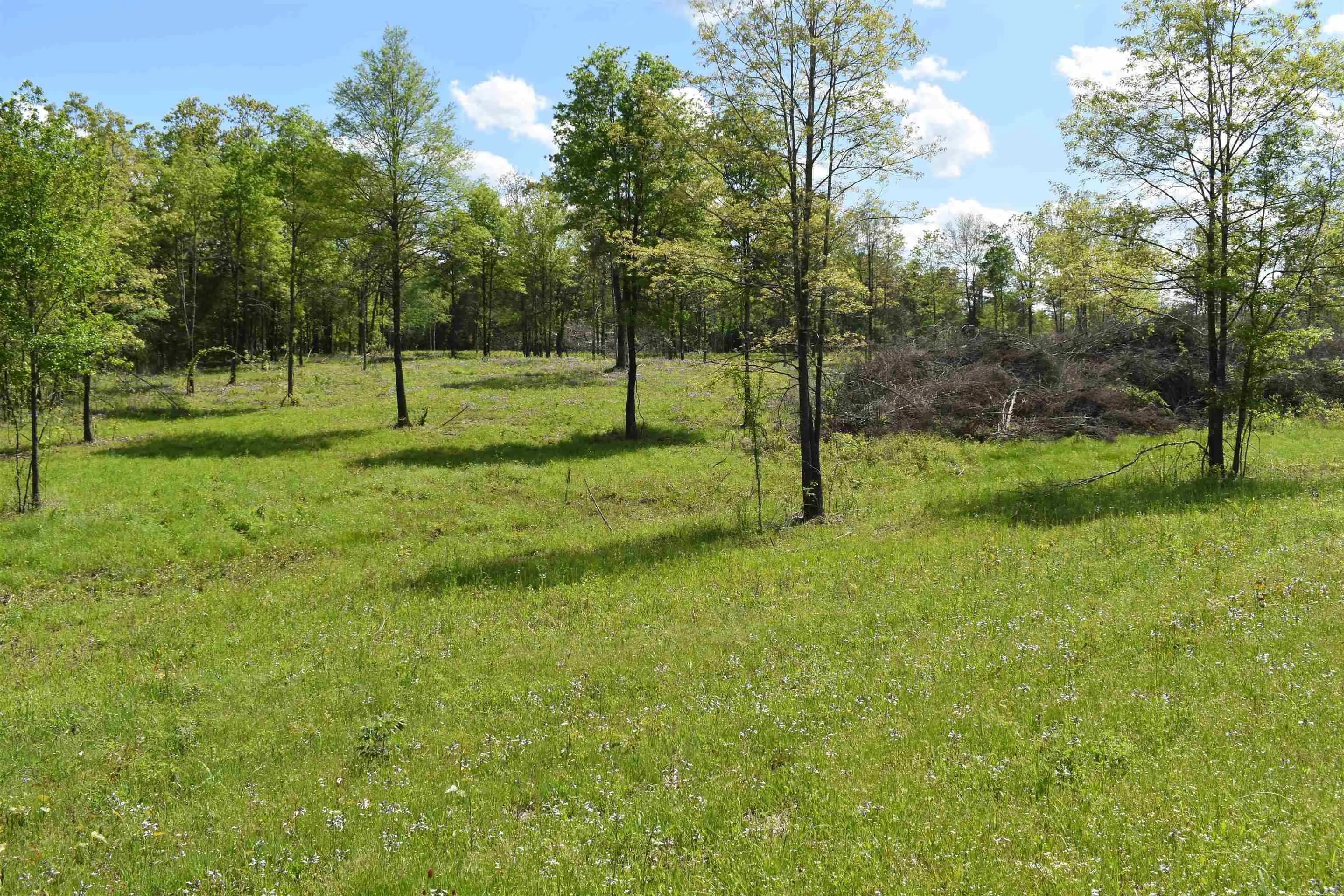 Property at 0000  Highway 88 - Image 66