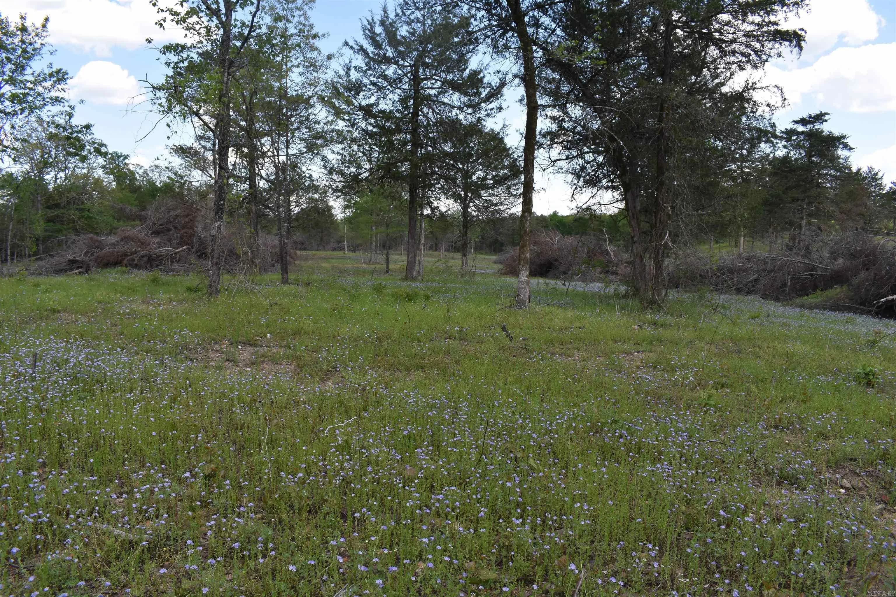Property at 0000  Highway 88 - Image 45
